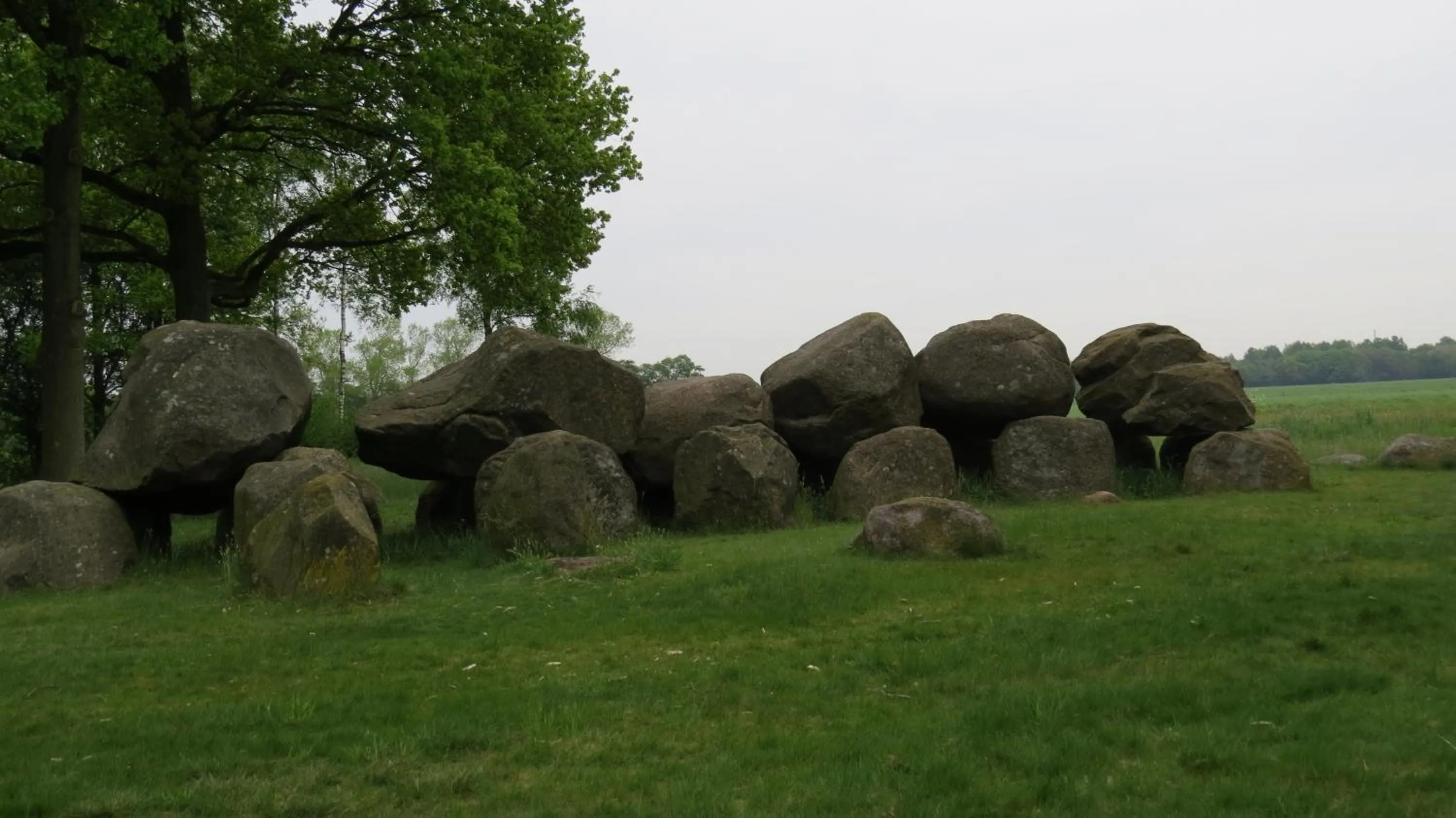 Natural landscape in 't Zwanemeer