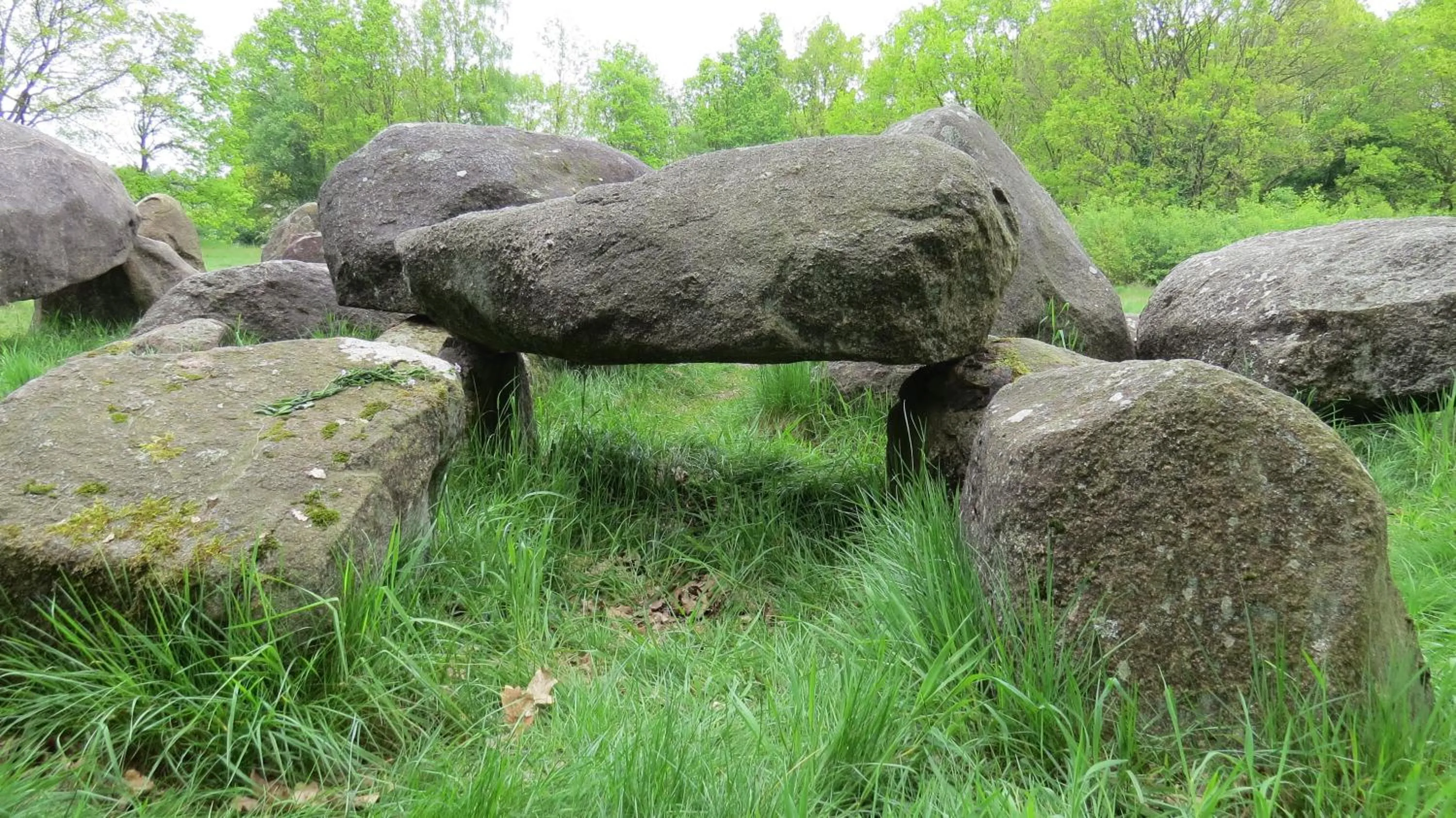 Natural landscape in 't Zwanemeer