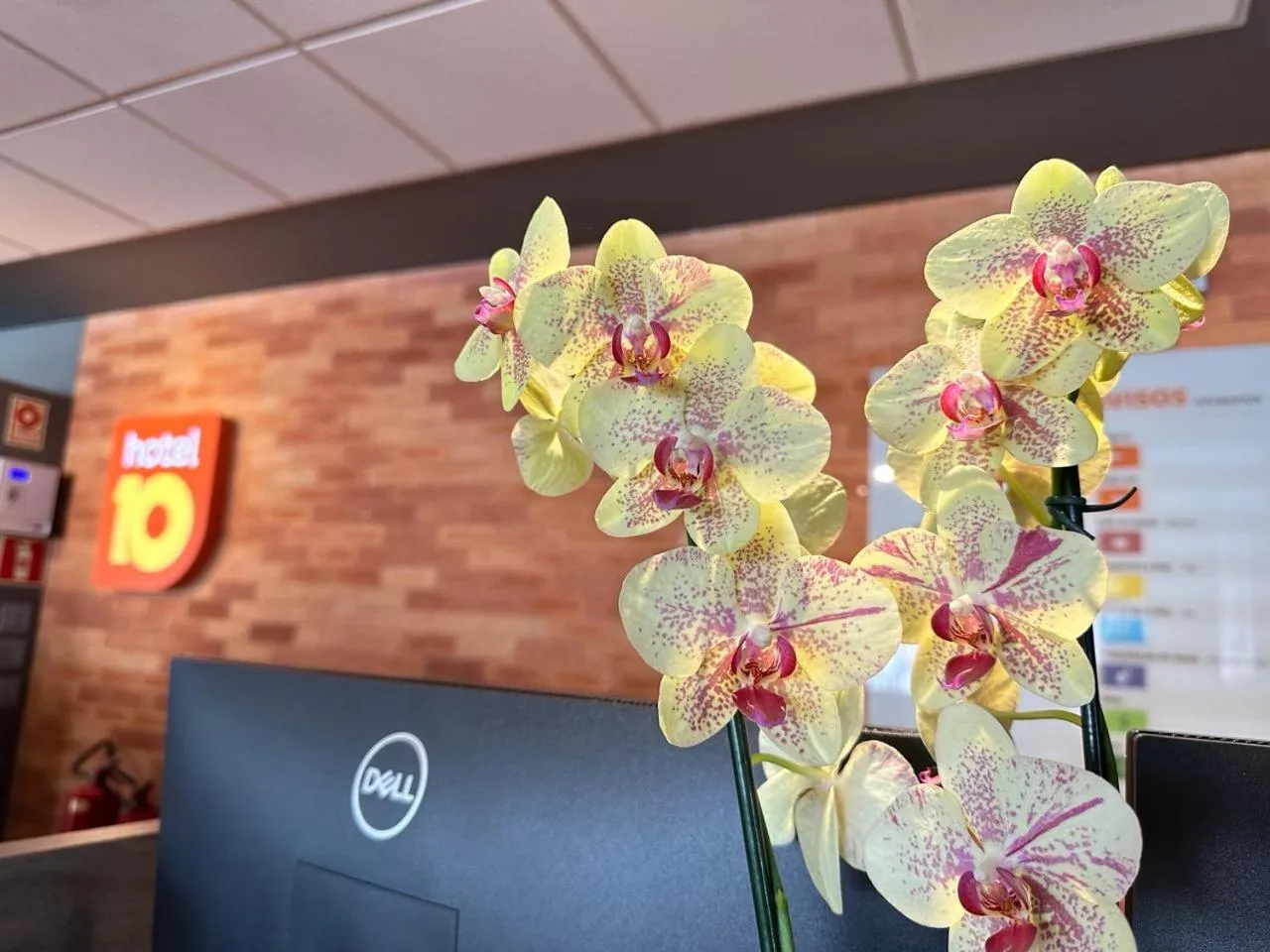 Lobby or reception in Hotel 10 Sorriso