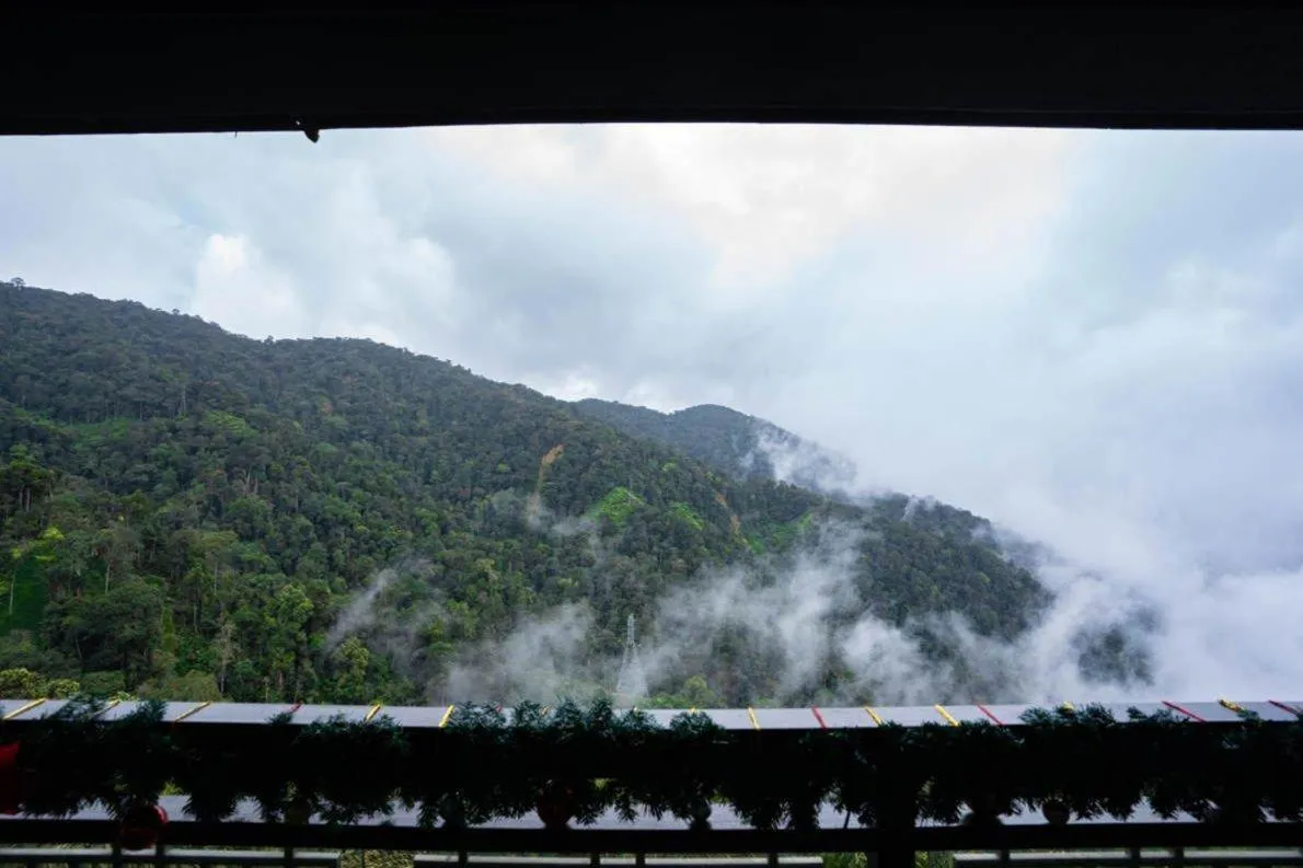 Natural landscape in The Artz Hotel