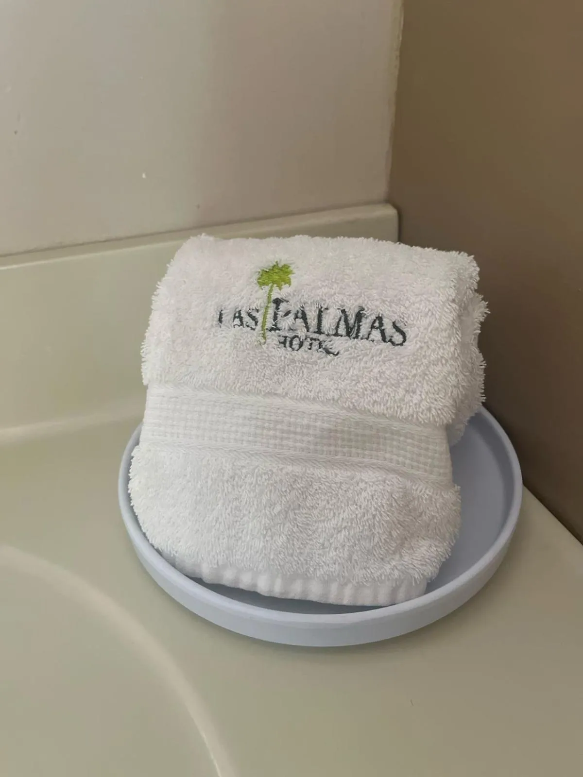 Hotel las Palmas
