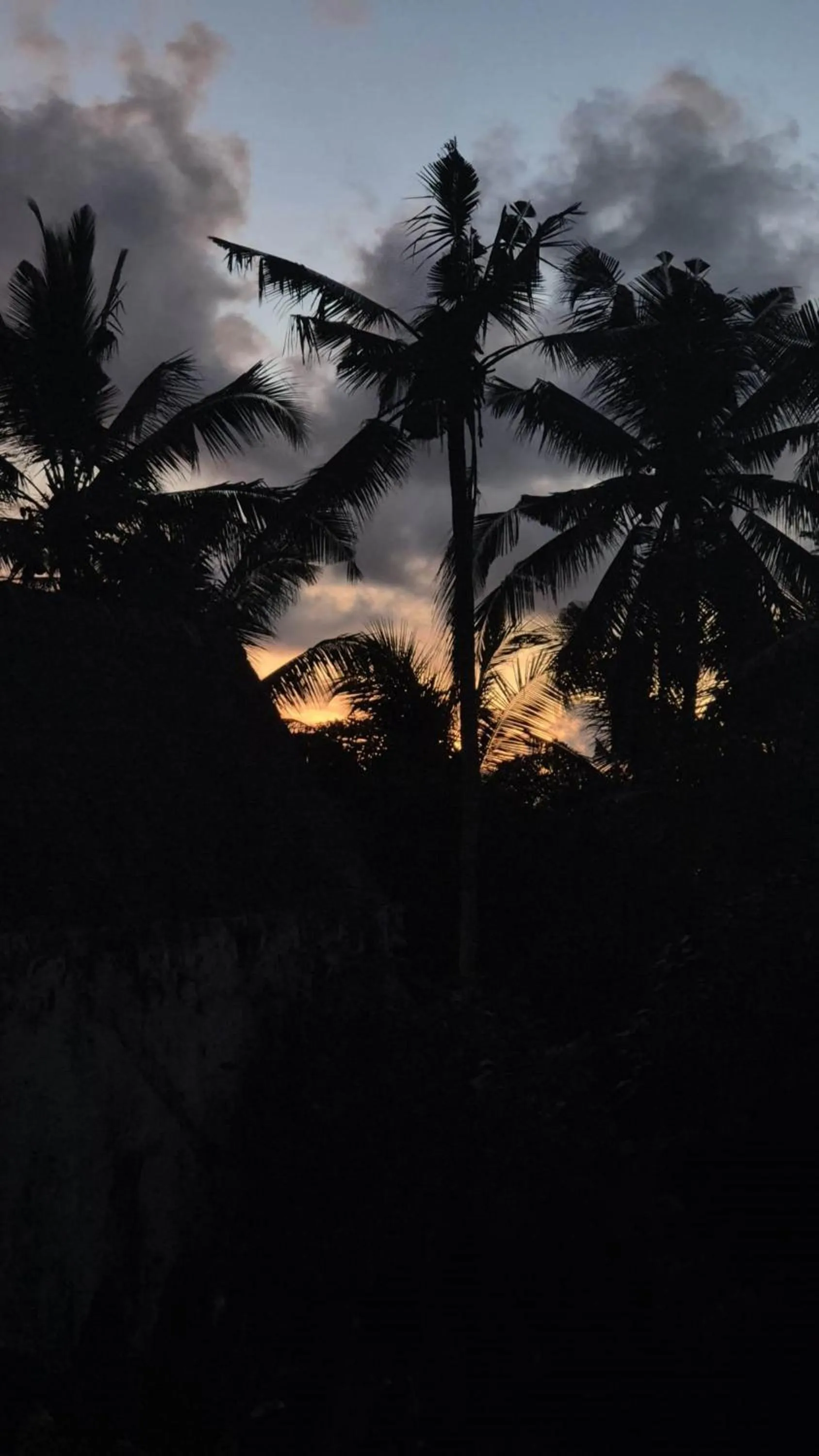 Bird's eye view in Prema Shiva Suites and Villas by EPS