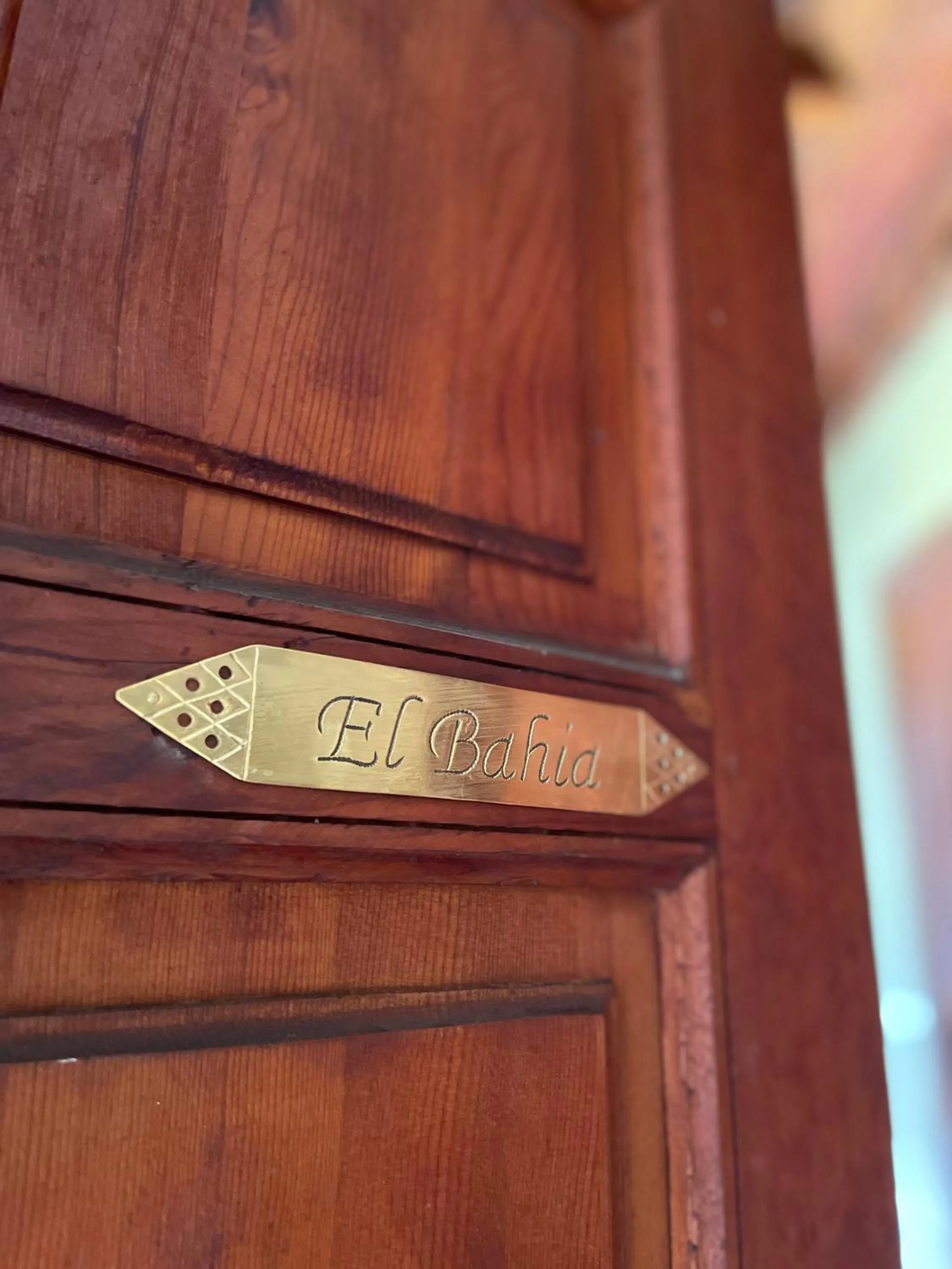 Facade/entrance in Riad Amalia