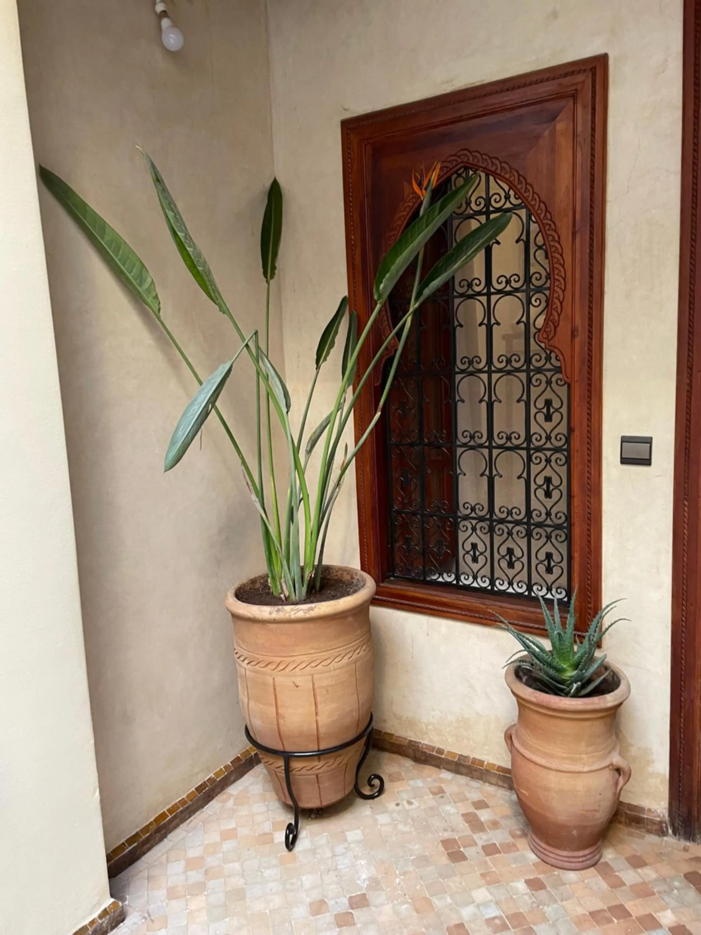 Property building in Riad Amalia