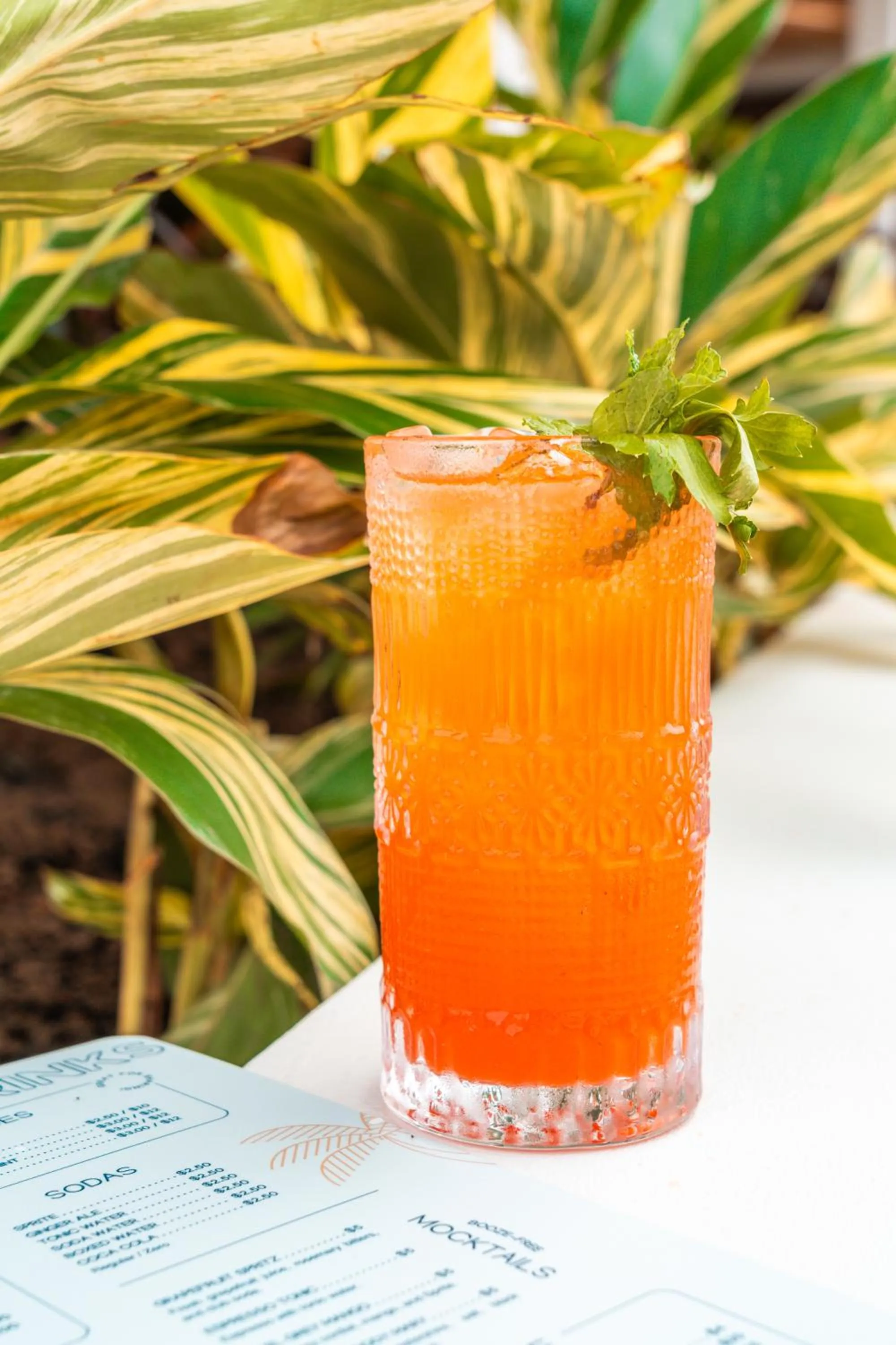 Food and drinks in Bambuda Santa Catalina