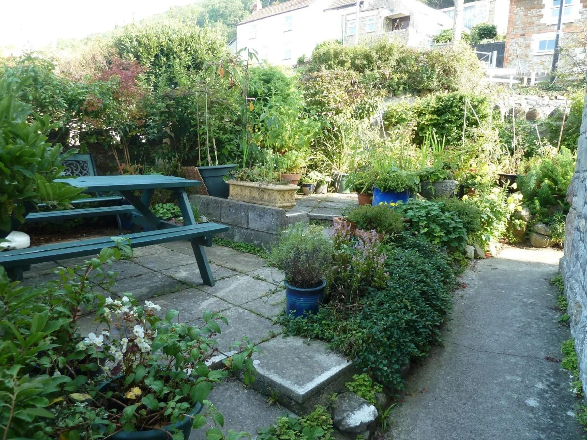 Garden in The Owls Crest House B&B