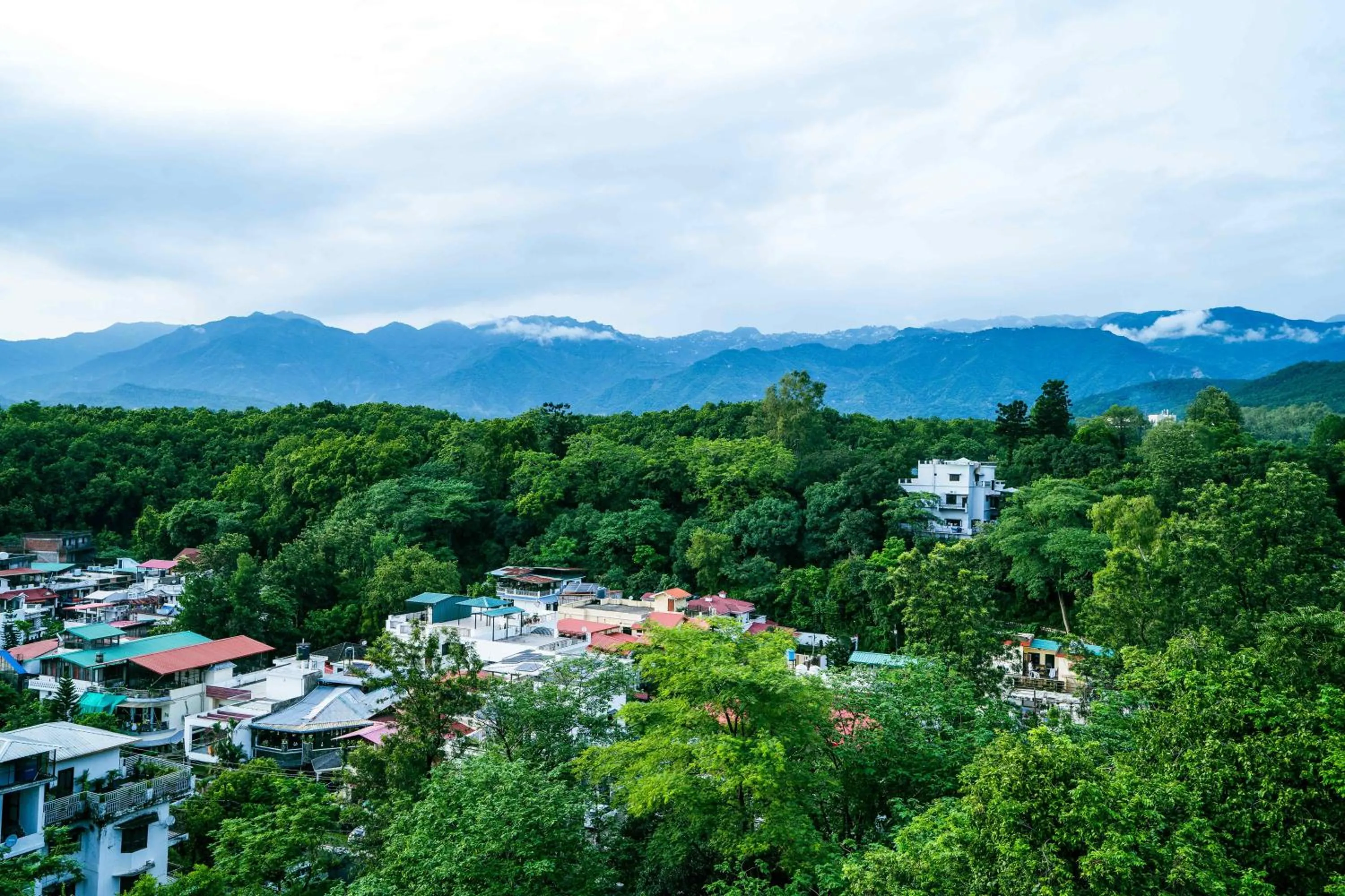 View (from property/room) in Treebo White Sand