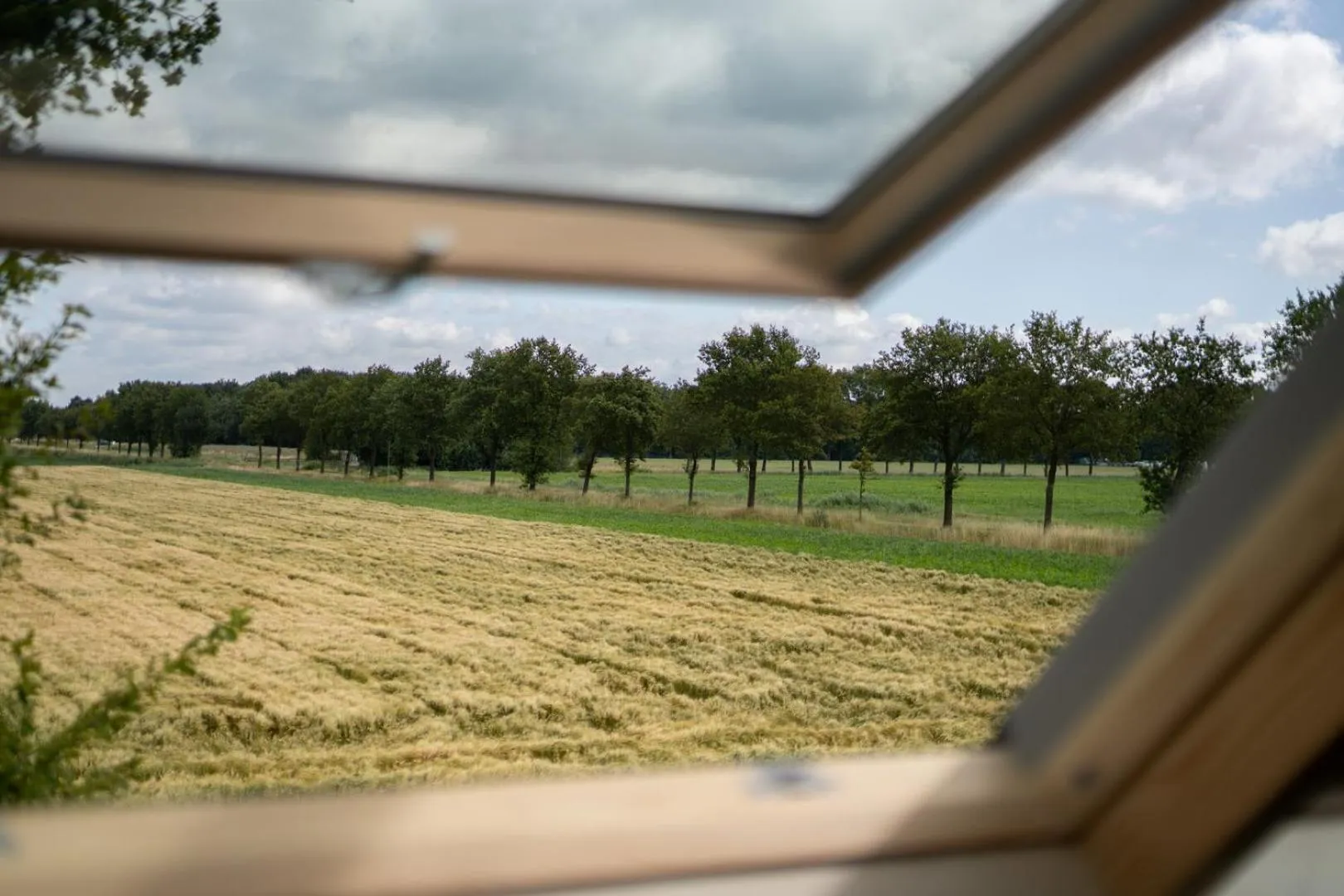 View (from property/room) in Boutique Hotel het Witte Veen