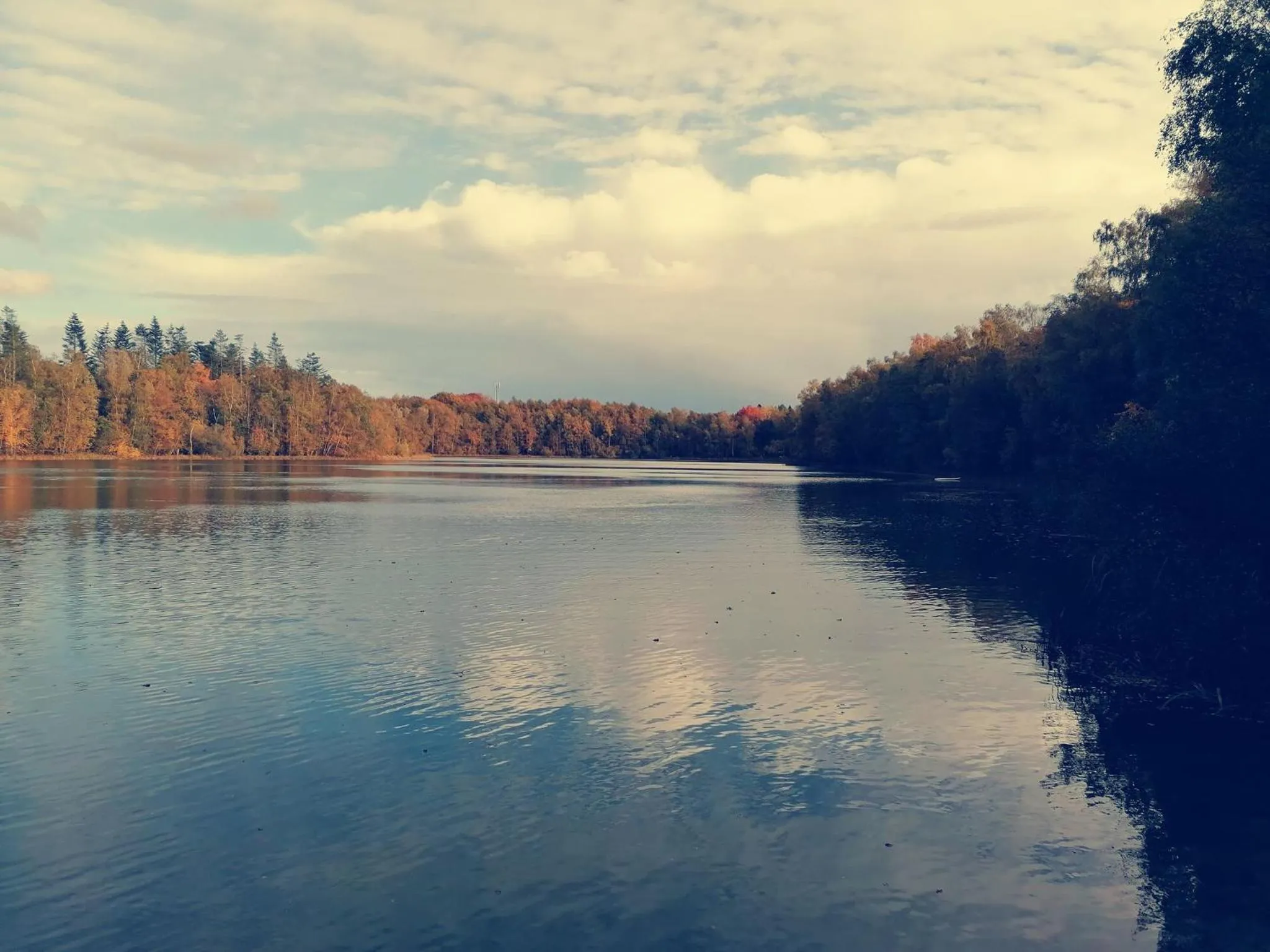 Nearby landmark in Boutique Hotel het Witte Veen