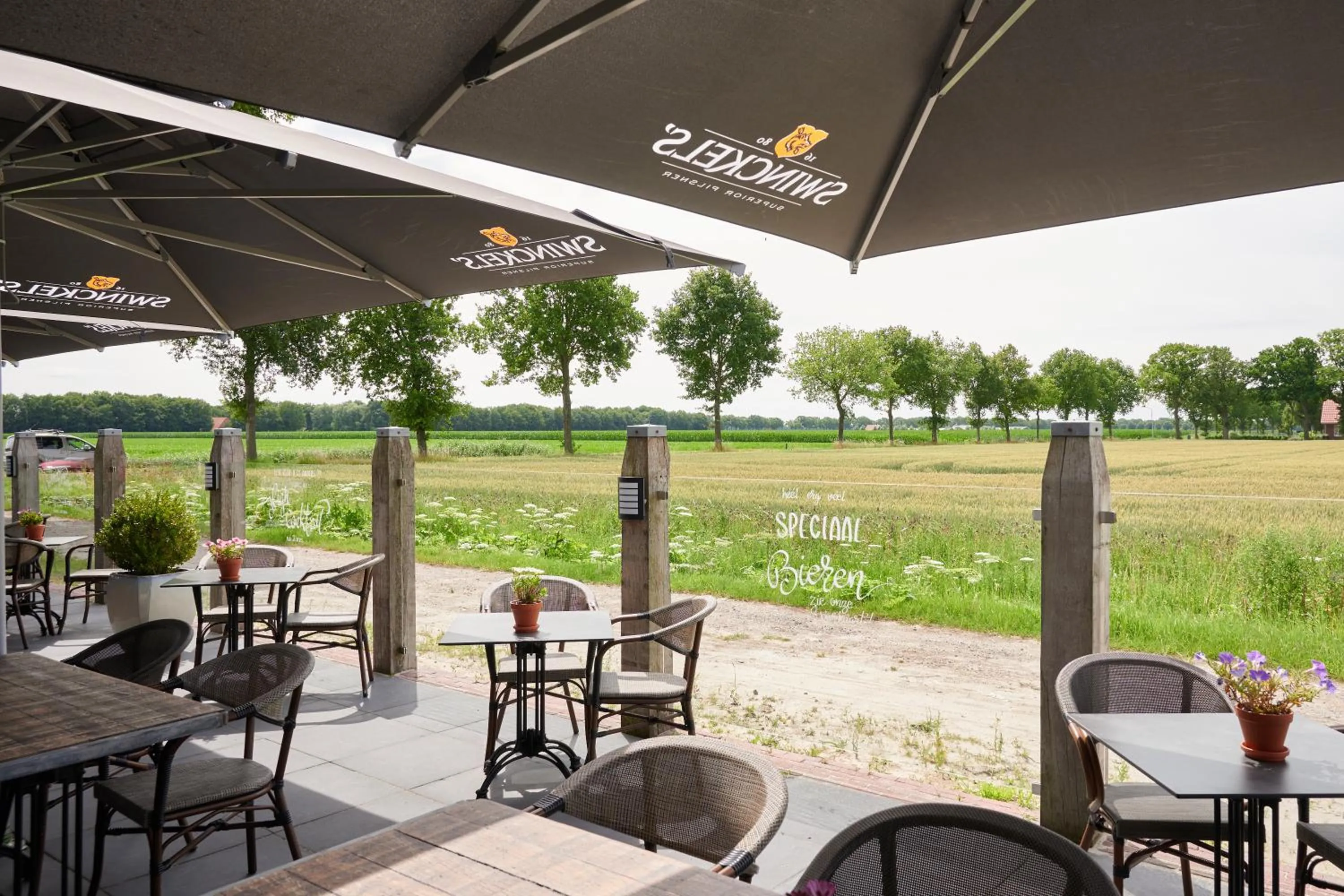 View (from property/room) in Boutique Hotel het Witte Veen