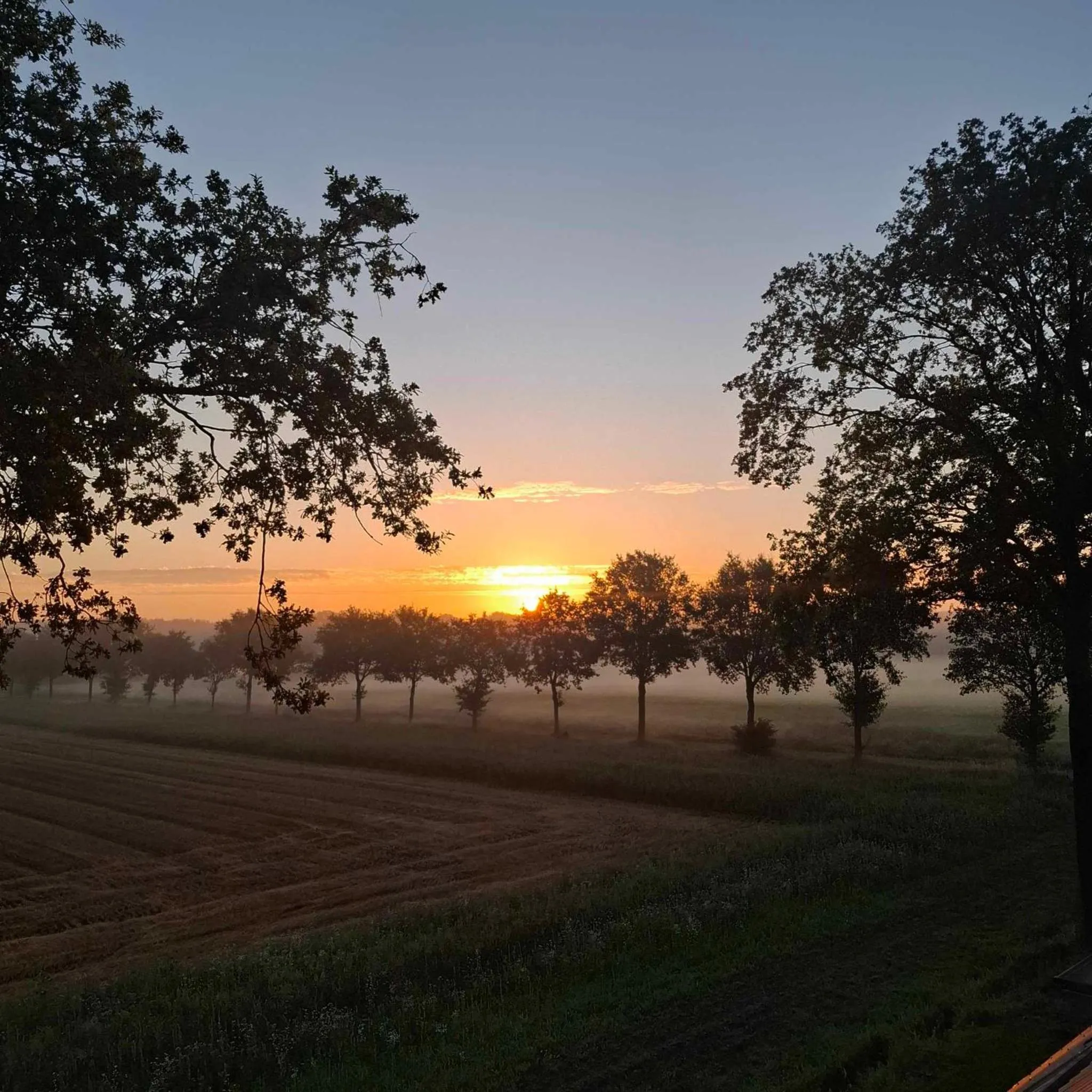 View (from property/room) in Boutique Hotel het Witte Veen