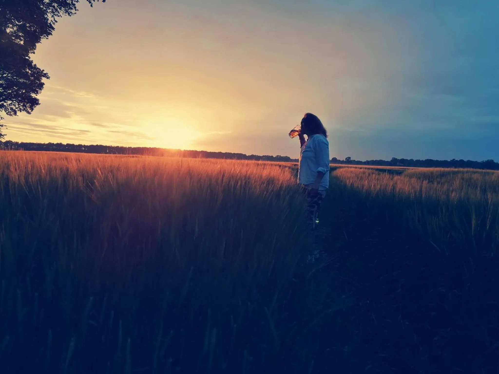 Natural landscape in Boutique Hotel het Witte Veen
