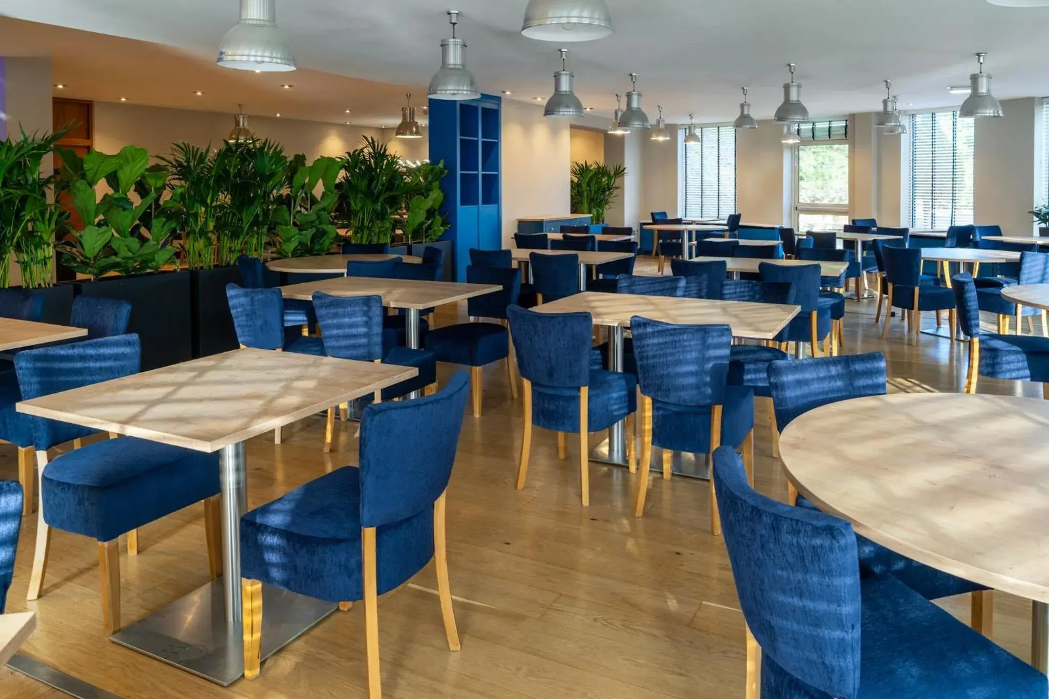 Restaurant/places to eat in Daresbury Park Hotel Restaurant/places to eat in Daresbury Park Hotel