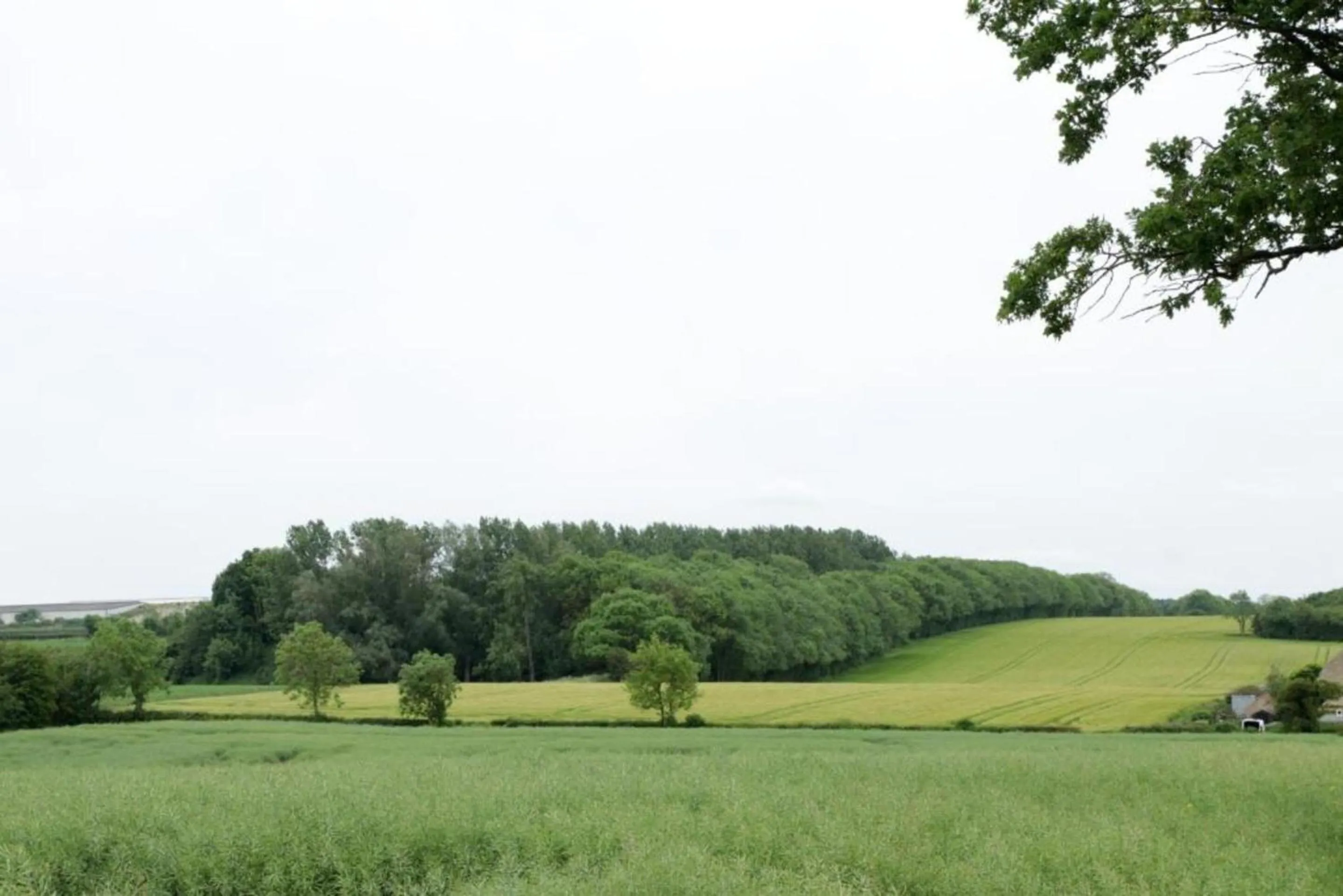 Garden in OYO 4 Sisters Inn