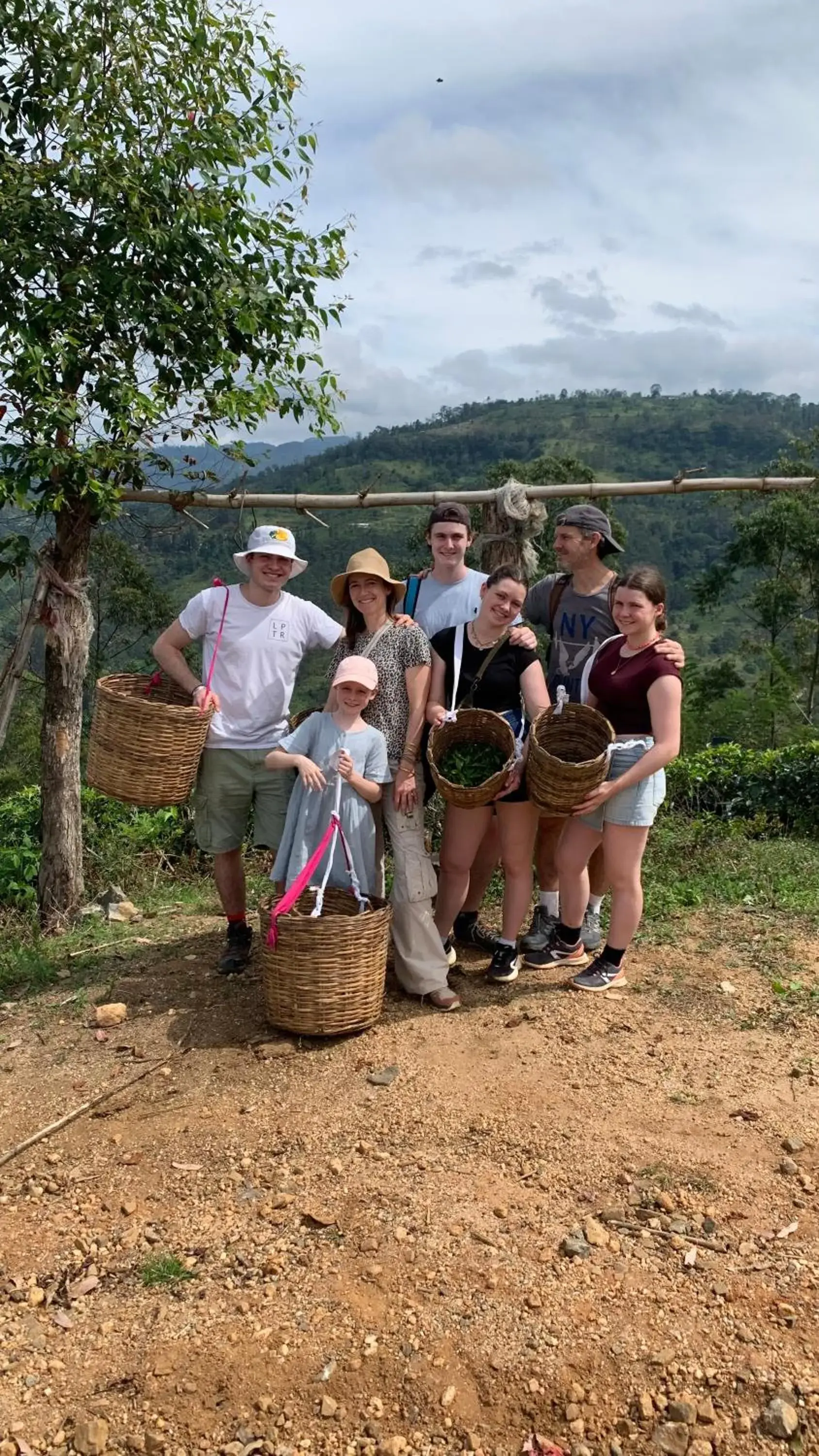 Tea Cottage Resort & Spa Tea Cottage Resort & Spa