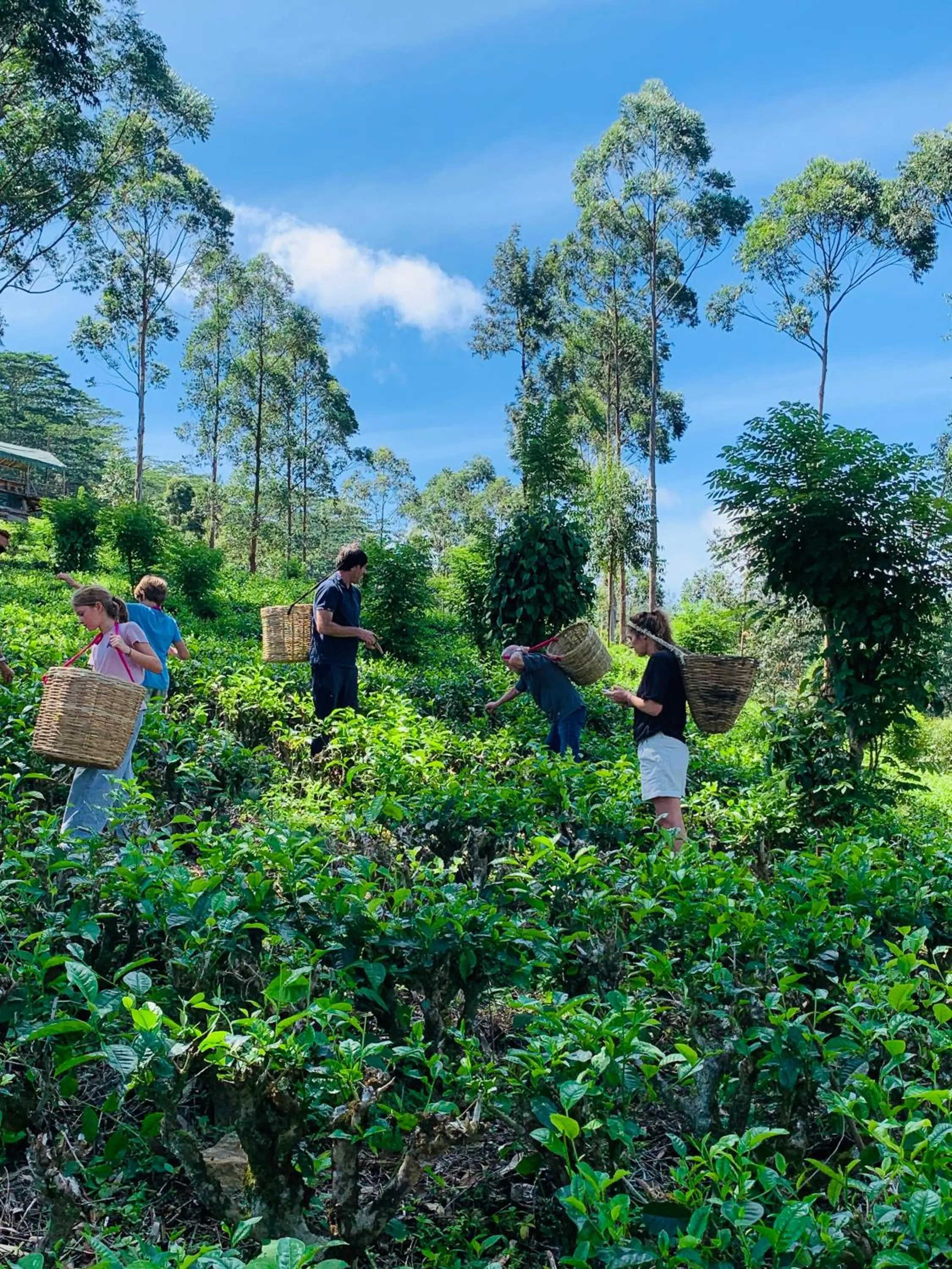 People in Tea Cottage Resort & Spa