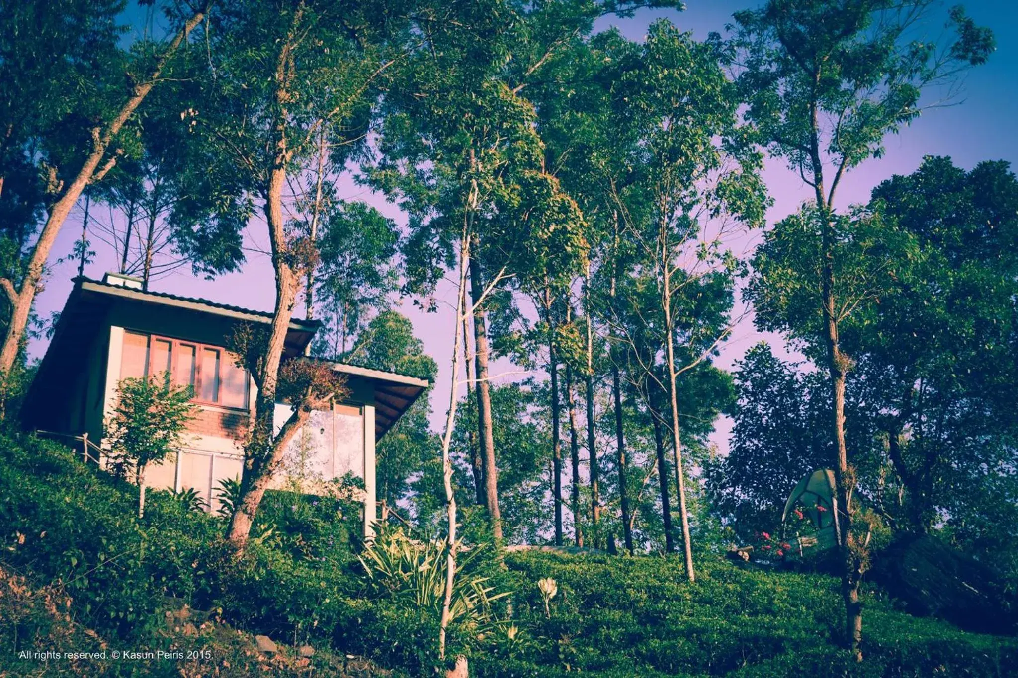 View (from property/room) in Tea Cottage Resort & Spa View (from property/room) in Tea Cottage Resort & Spa