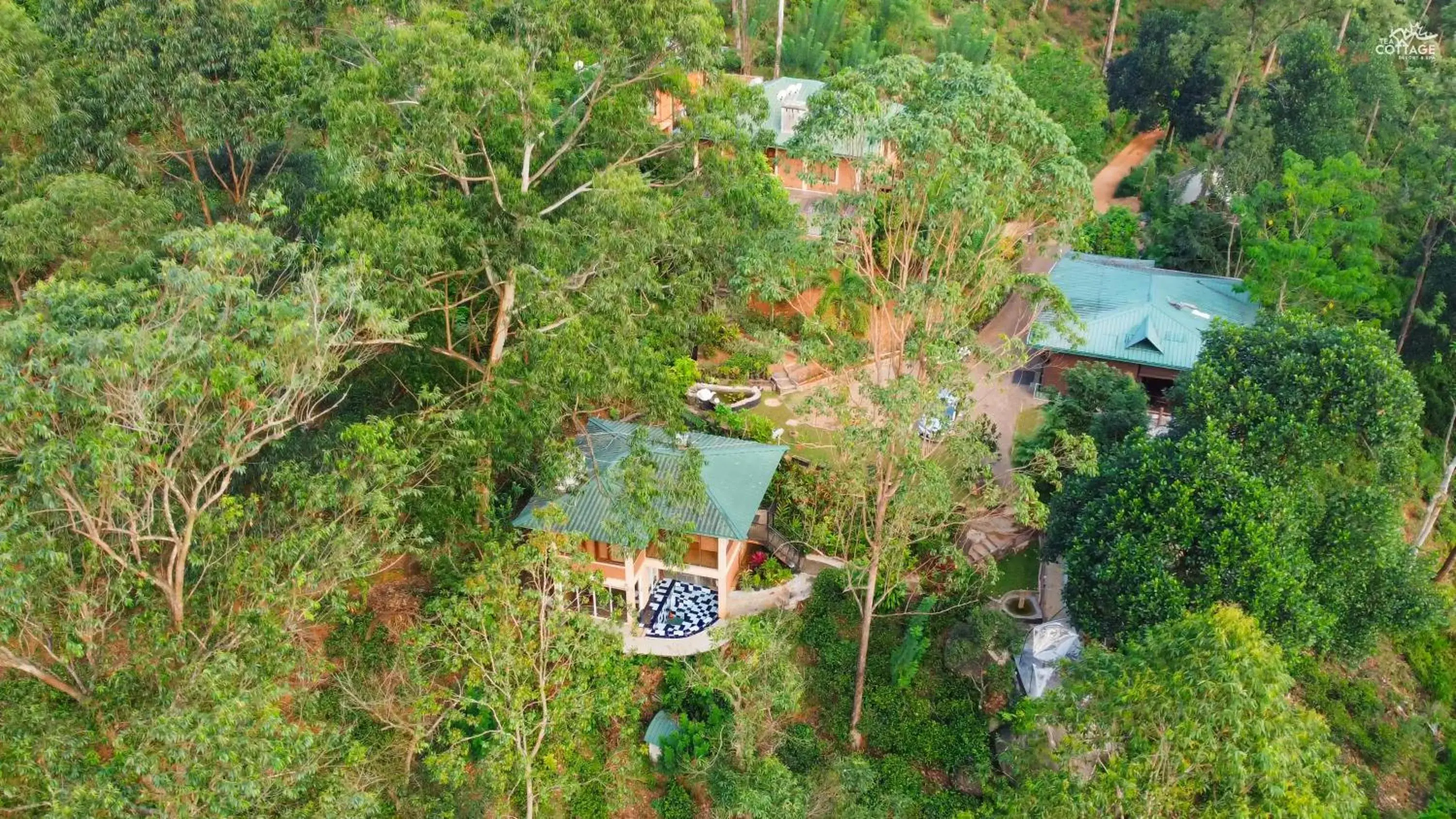 Tea Cottage Resort & Spa Tea Cottage Resort & Spa