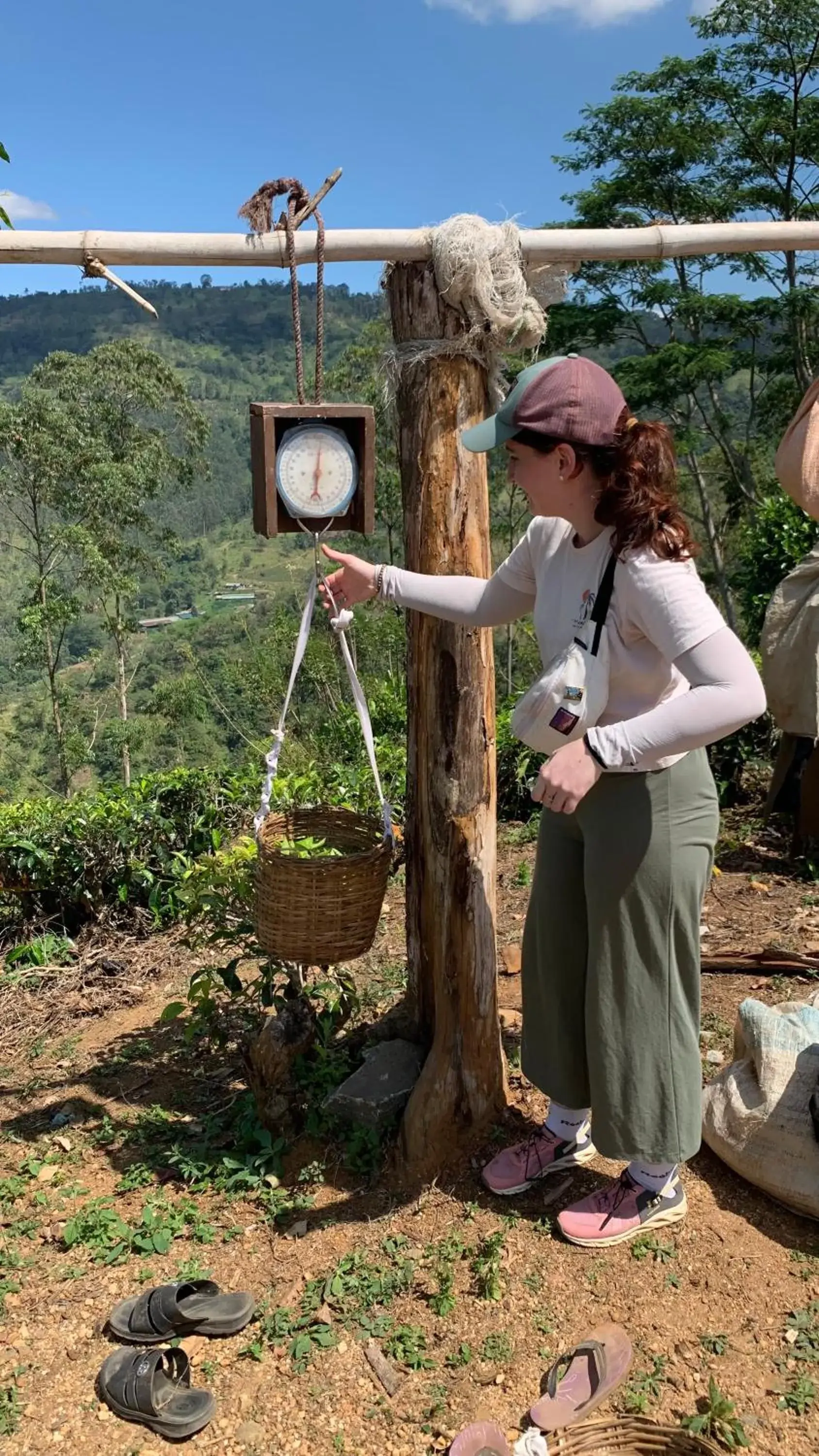 Tea Cottage Resort & Spa Tea Cottage Resort & Spa