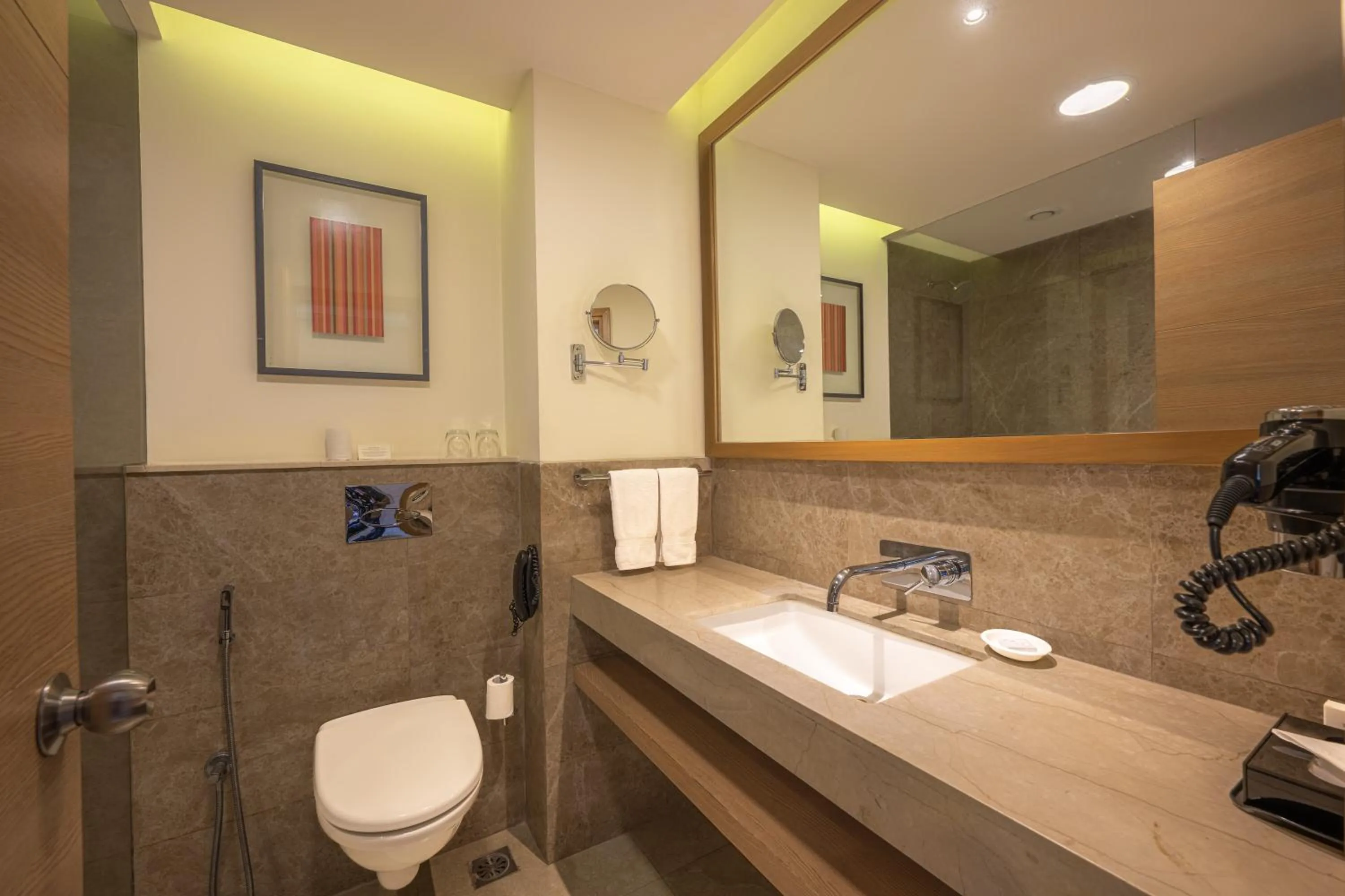 Toilet in Echor Shimla Hotel - The Zion