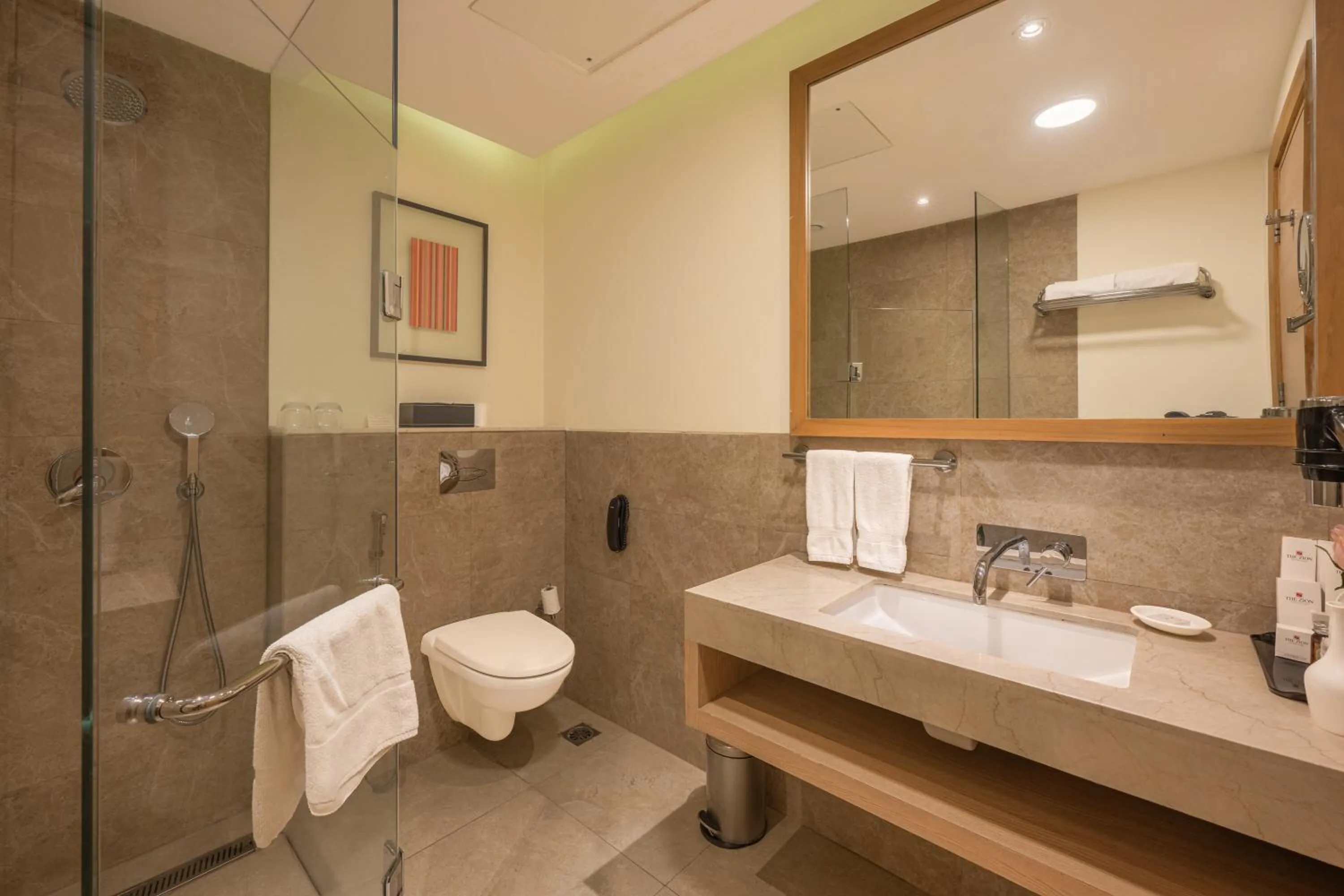 Bathroom in Echor Shimla Hotel - The Zion