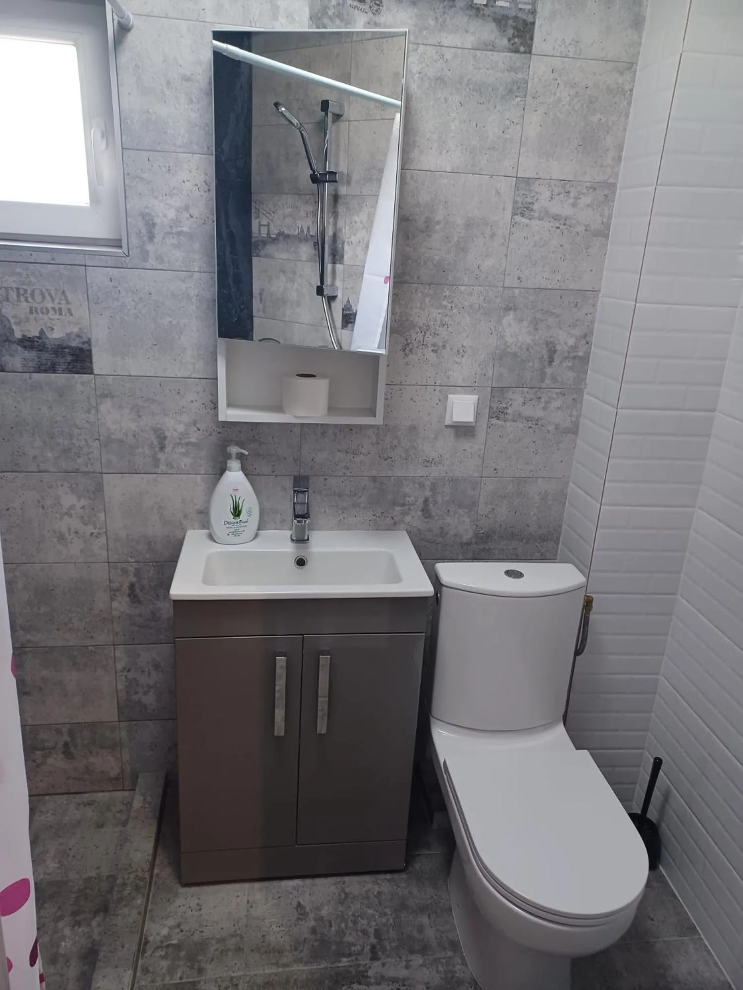 Shower in Aparthotel Oltului