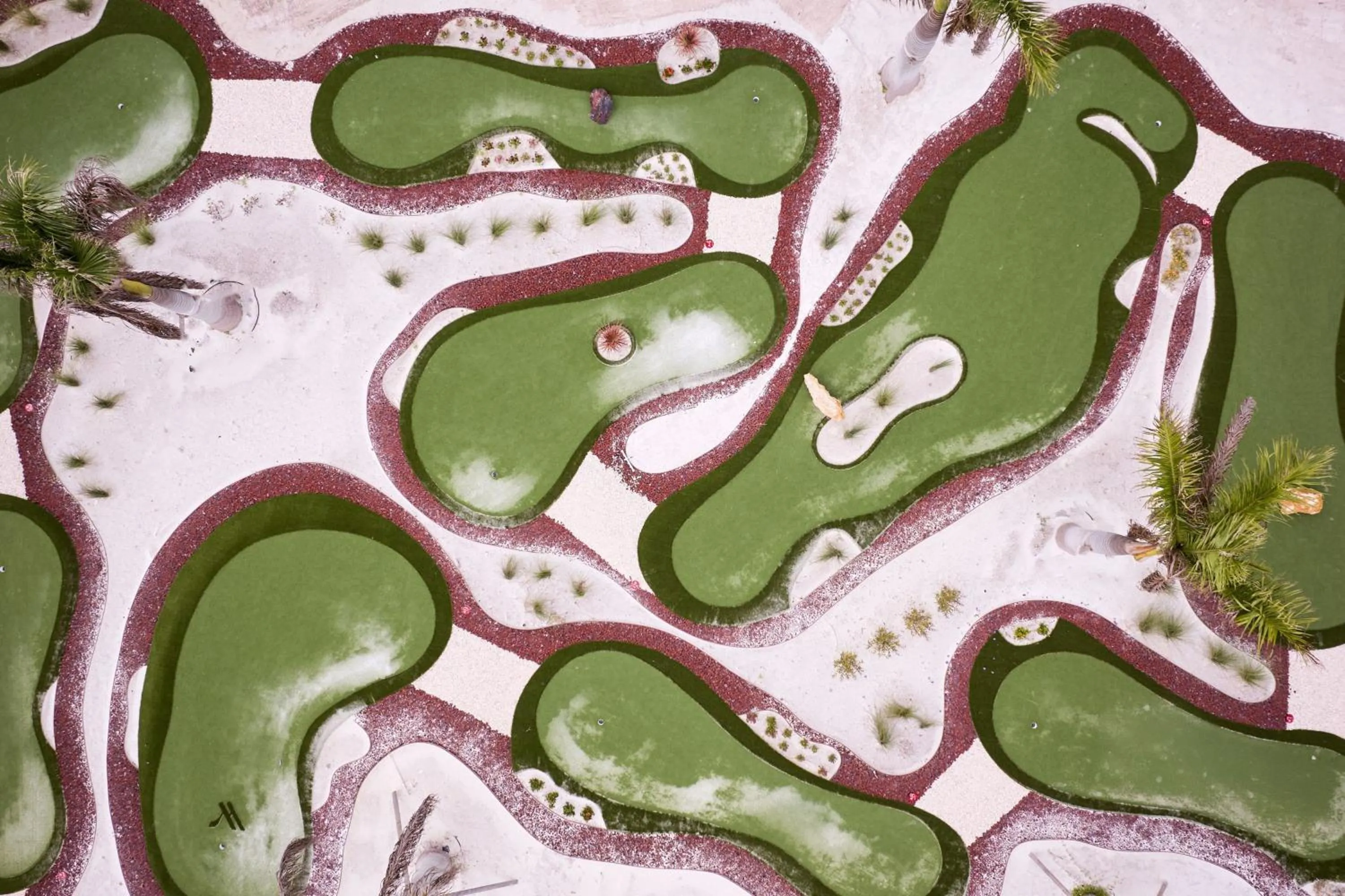 Beach in Palmetto Marriott Resort & Spa