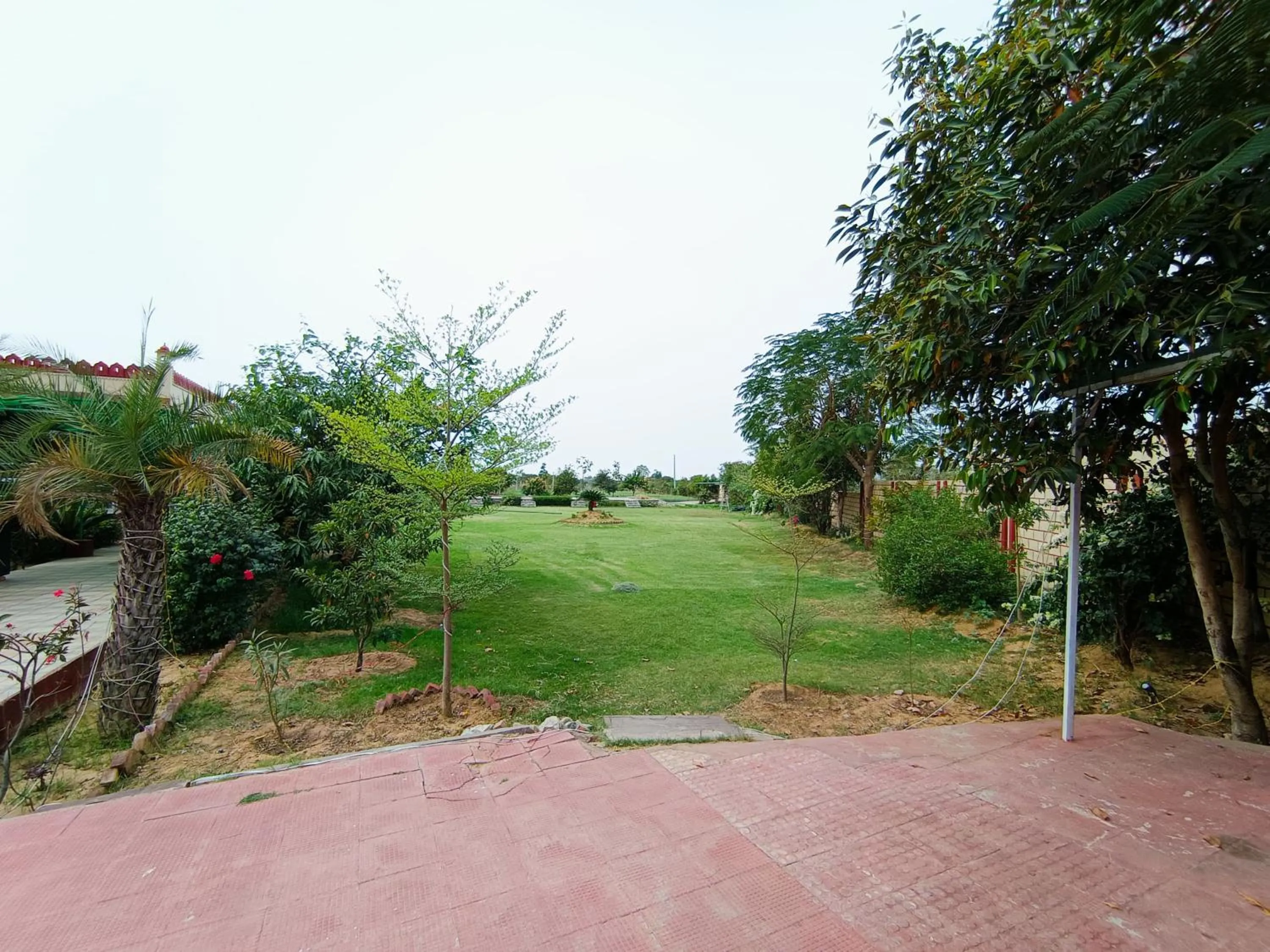 Day in Yuvraj Nature Resort