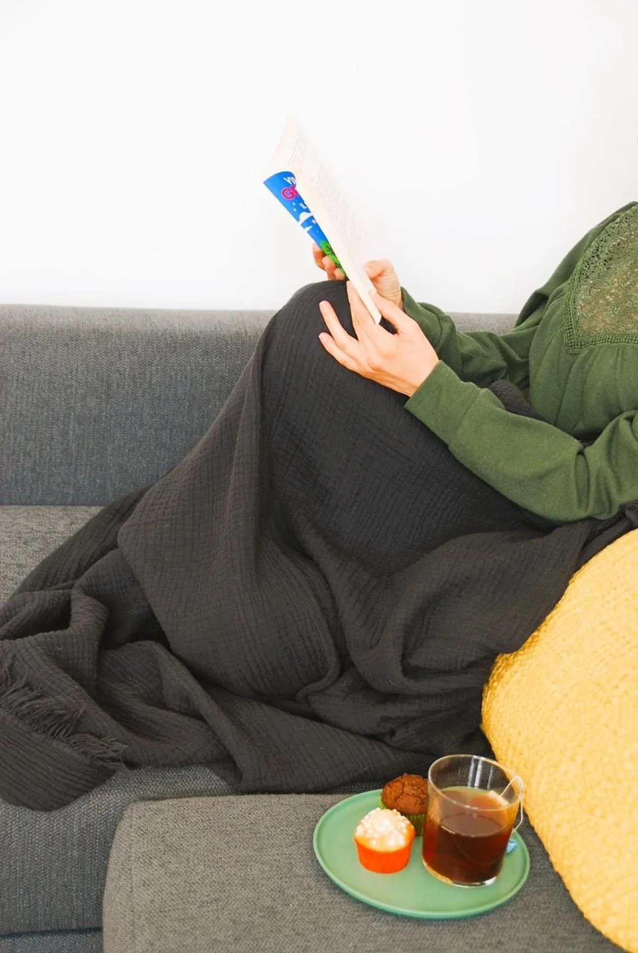 Living room in Fanfrelin joli T3 centre ville