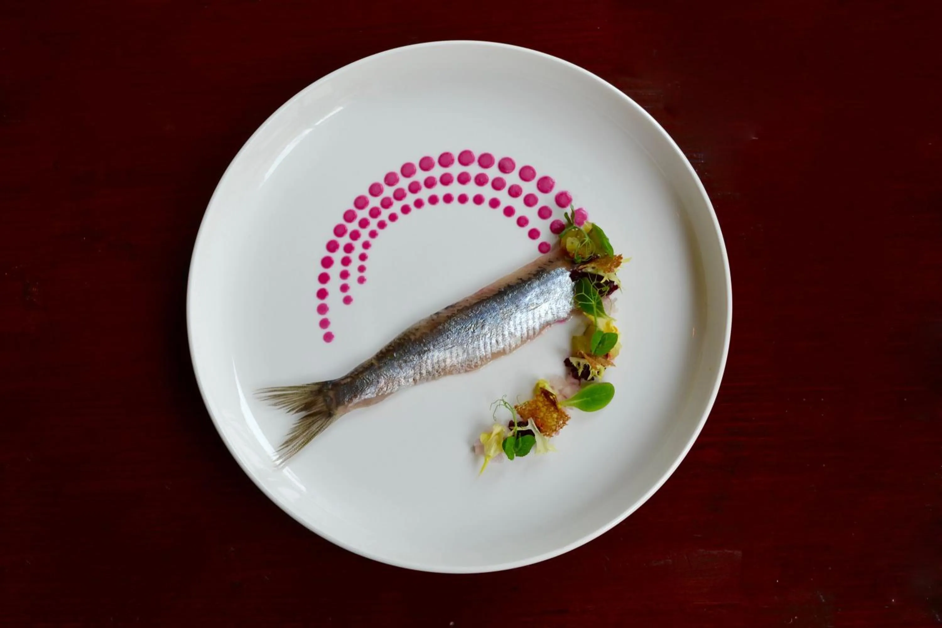 Food and drinks in Hotel & Restaurant De Fortuna