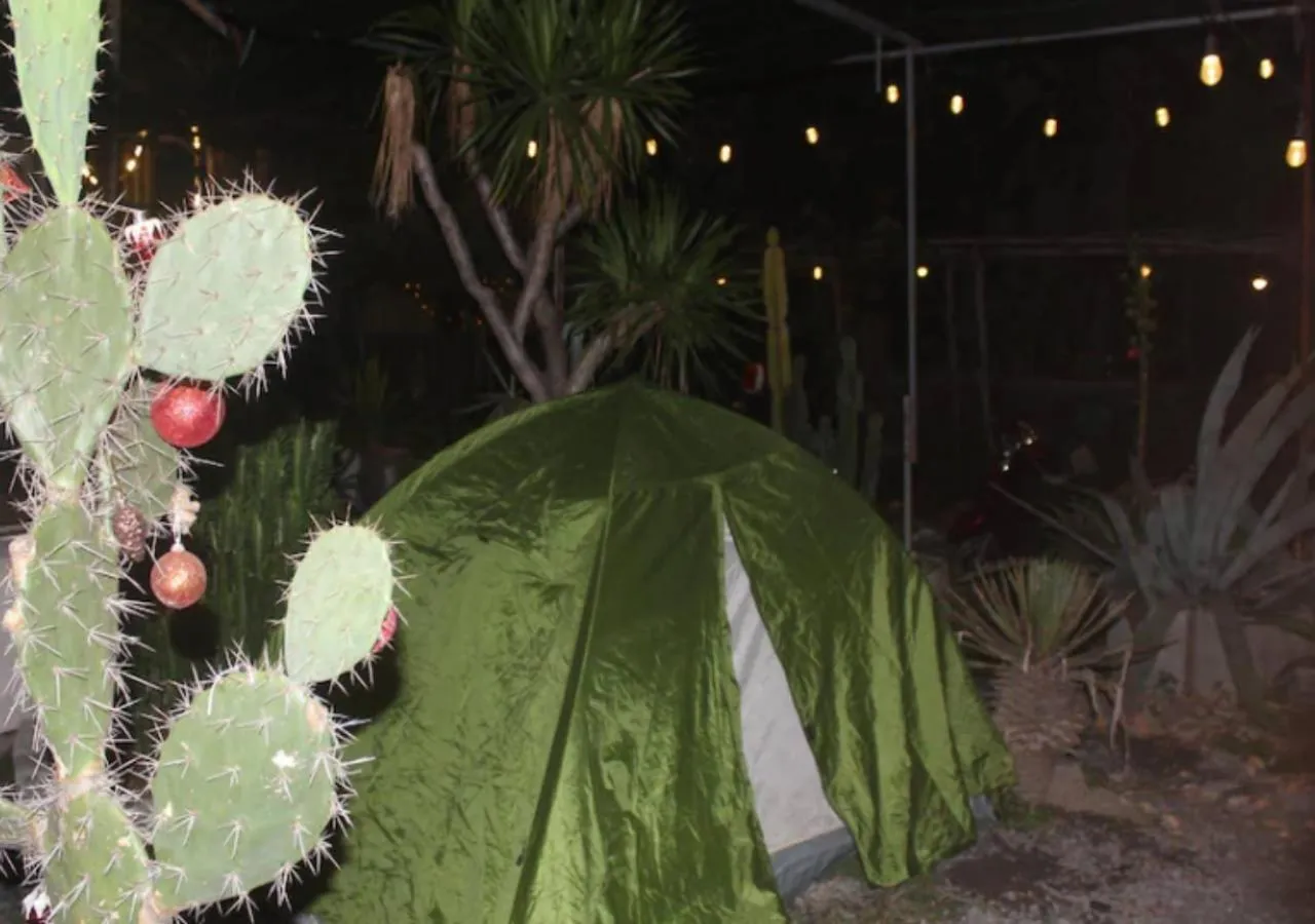 Breakfast in Cactos Chill & Homestay