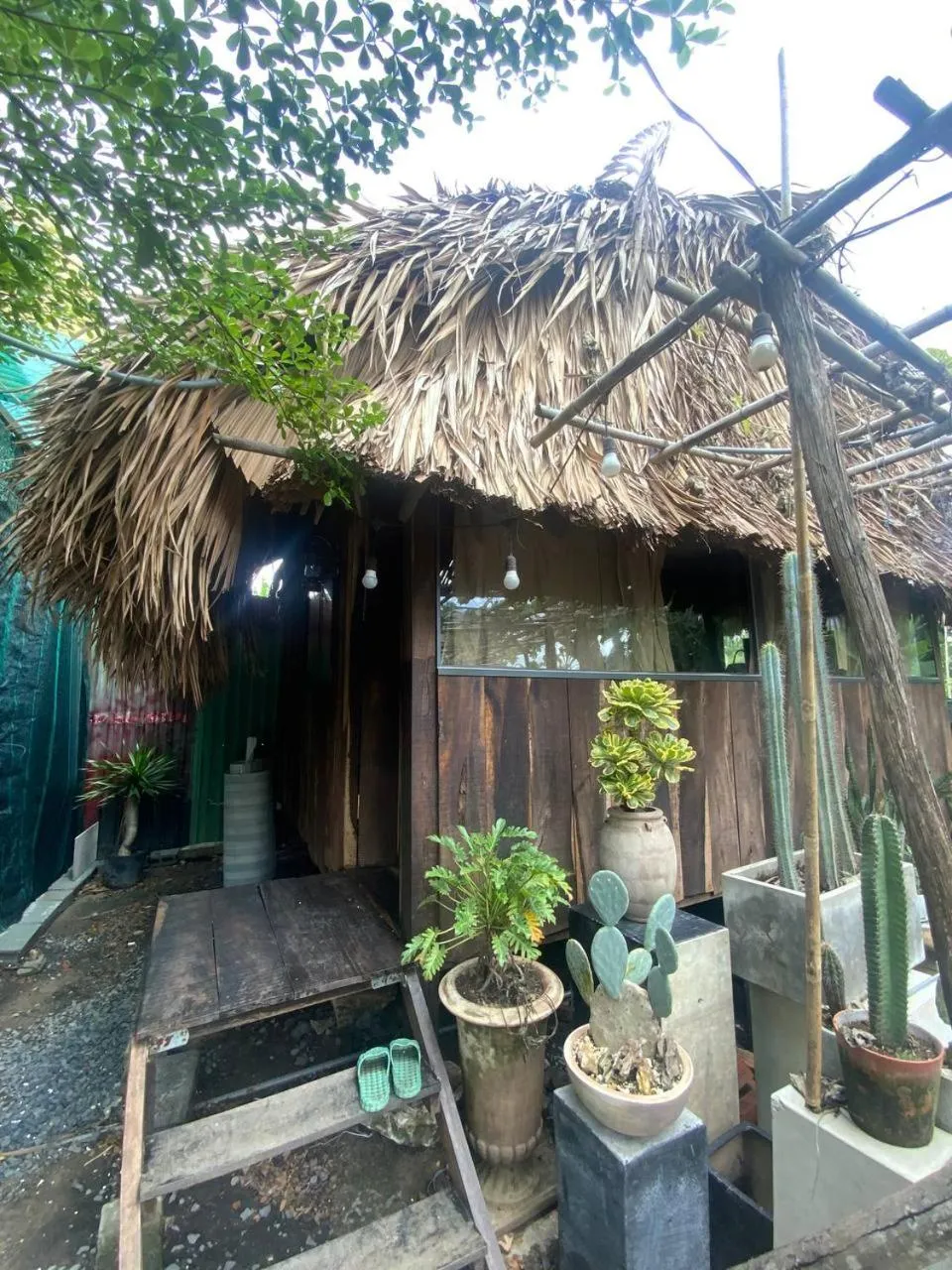 Garden in Cactos Chill & Homestay