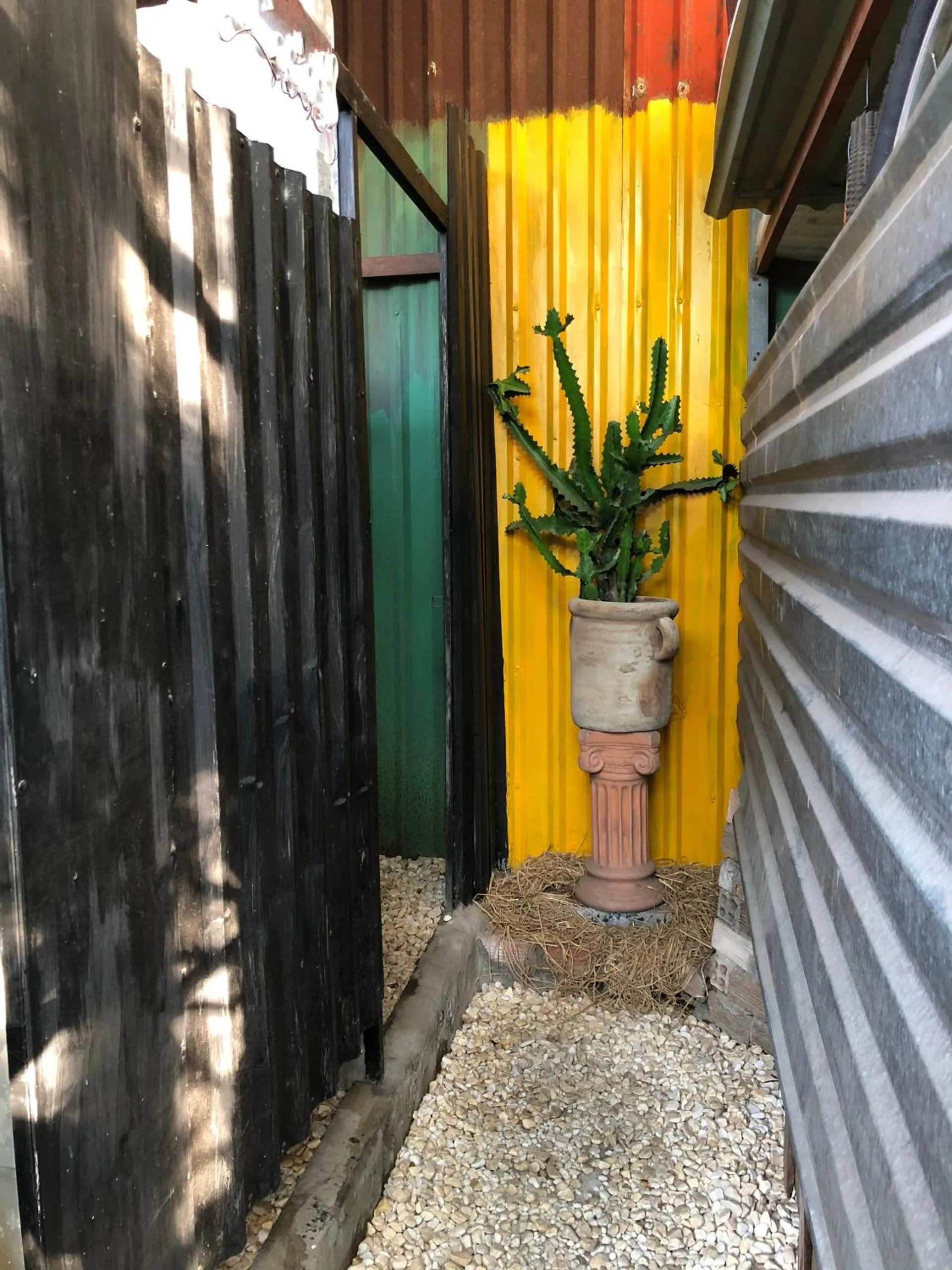 Bathroom in Cactos Chill & Homestay