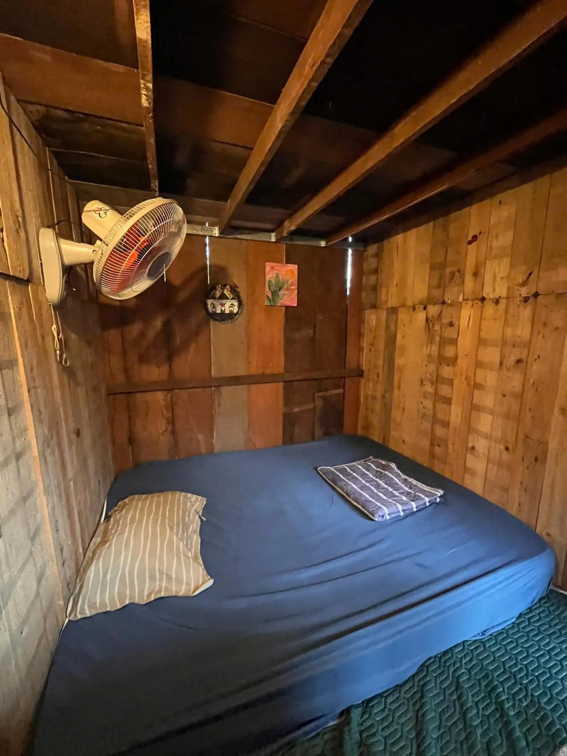 Photo of the whole room, Bed in Cactos Chill & Homestay