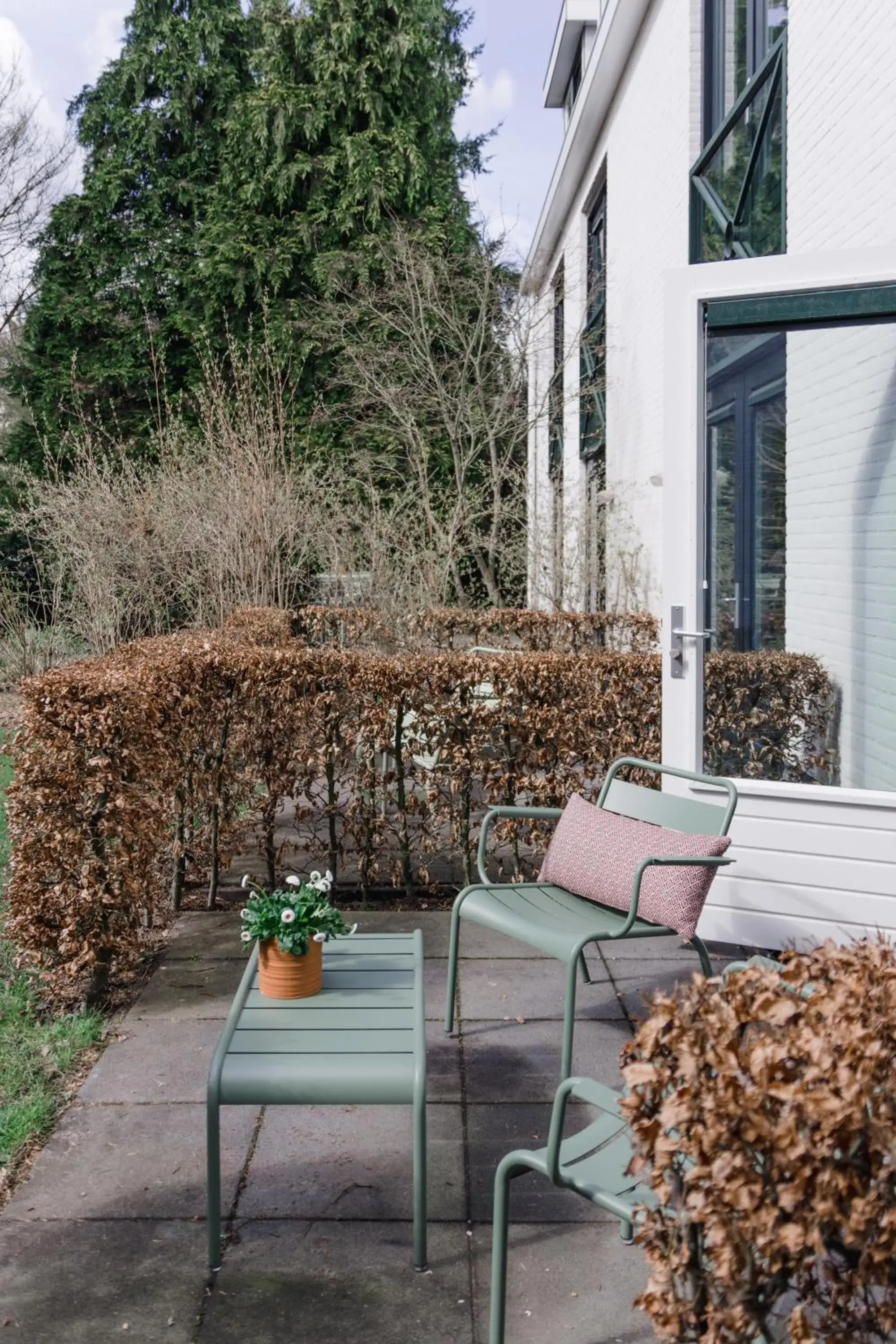 Double Room with Terrace - single occupancy in Witte Berken Natuurhotel Double Room with Terrace - single occupancy in Witte Berken Natuurhotel