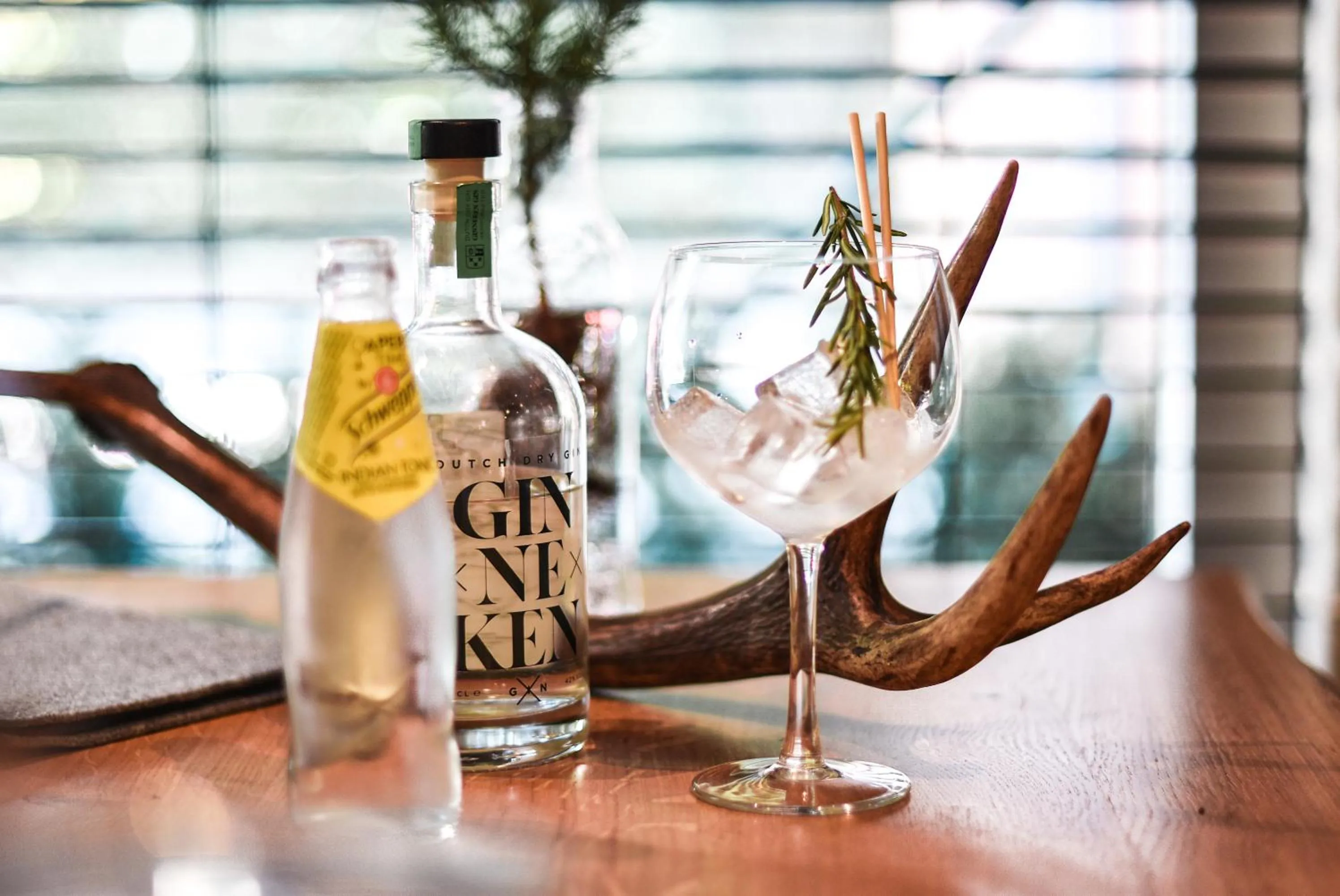 Lounge or bar in Witte Berken Natuurhotel