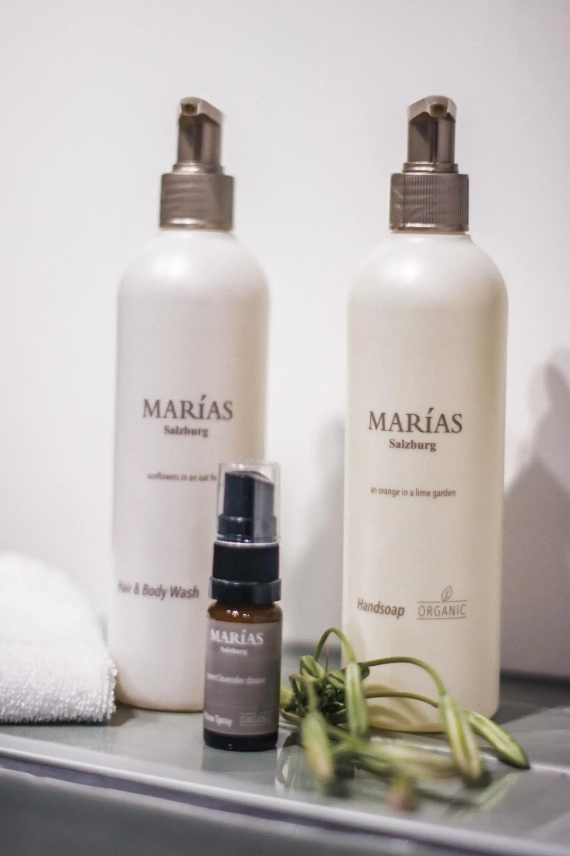 Deluxe room with sauna - single occupancy in Witte Berken Natuurhotel Deluxe room with sauna - single occupancy in Witte Berken Natuurhotel