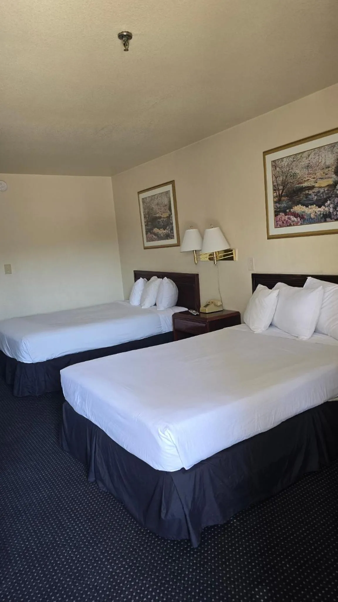 Queen Room in Terrace Inn and Suites