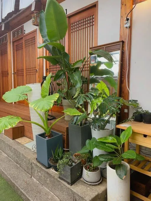 Garden in Bibimbap Hanok Guesthouse Gyeongbokgung