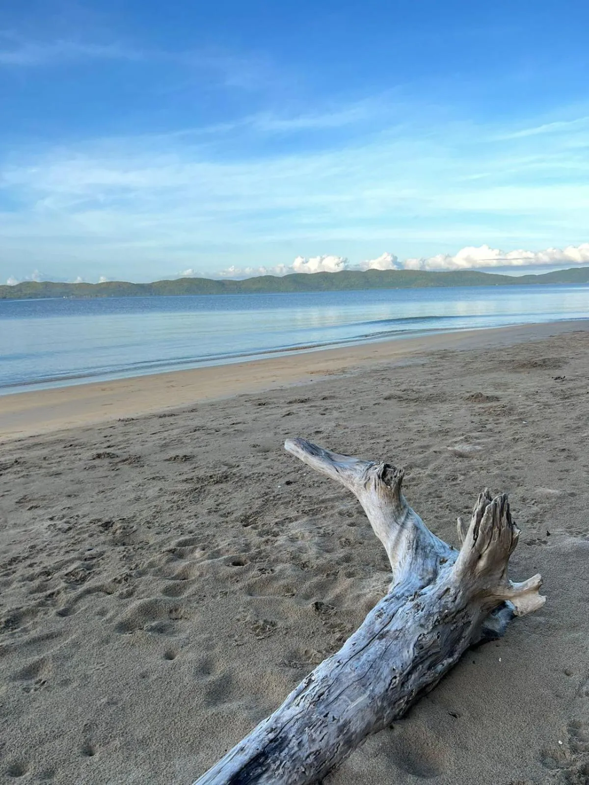 Magalong Beach Resort
