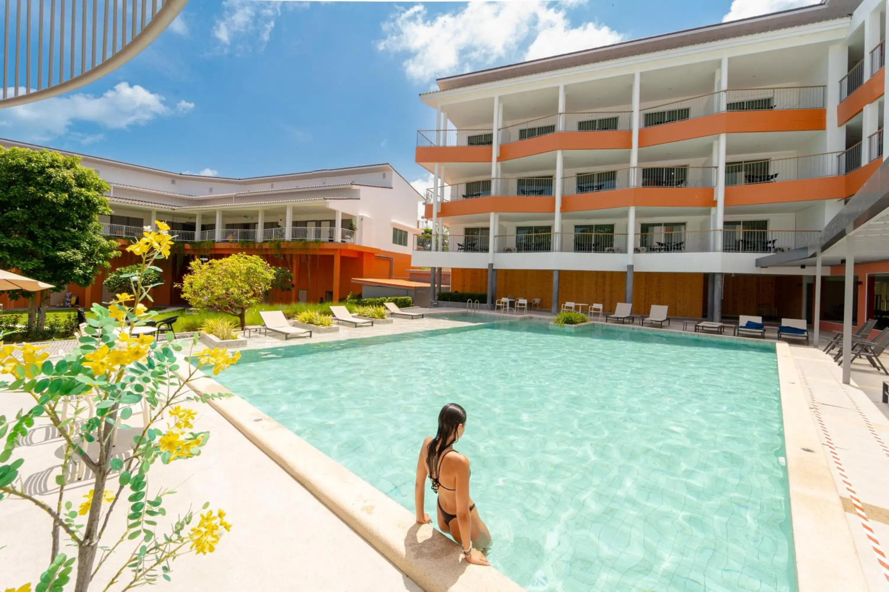 Ventus Phangan Ventus Phangan