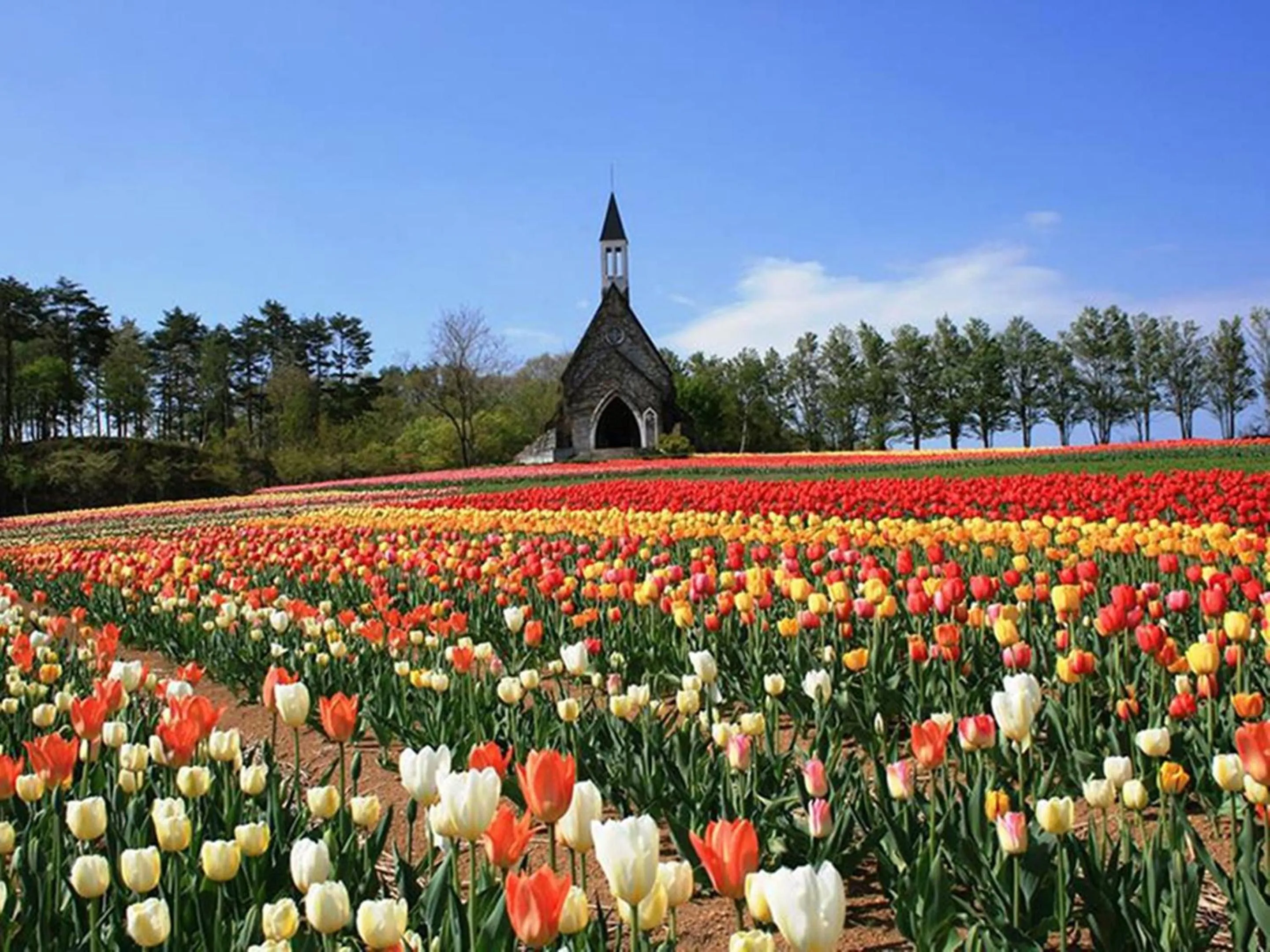 Nearby landmark in Nagomiya Hirugano