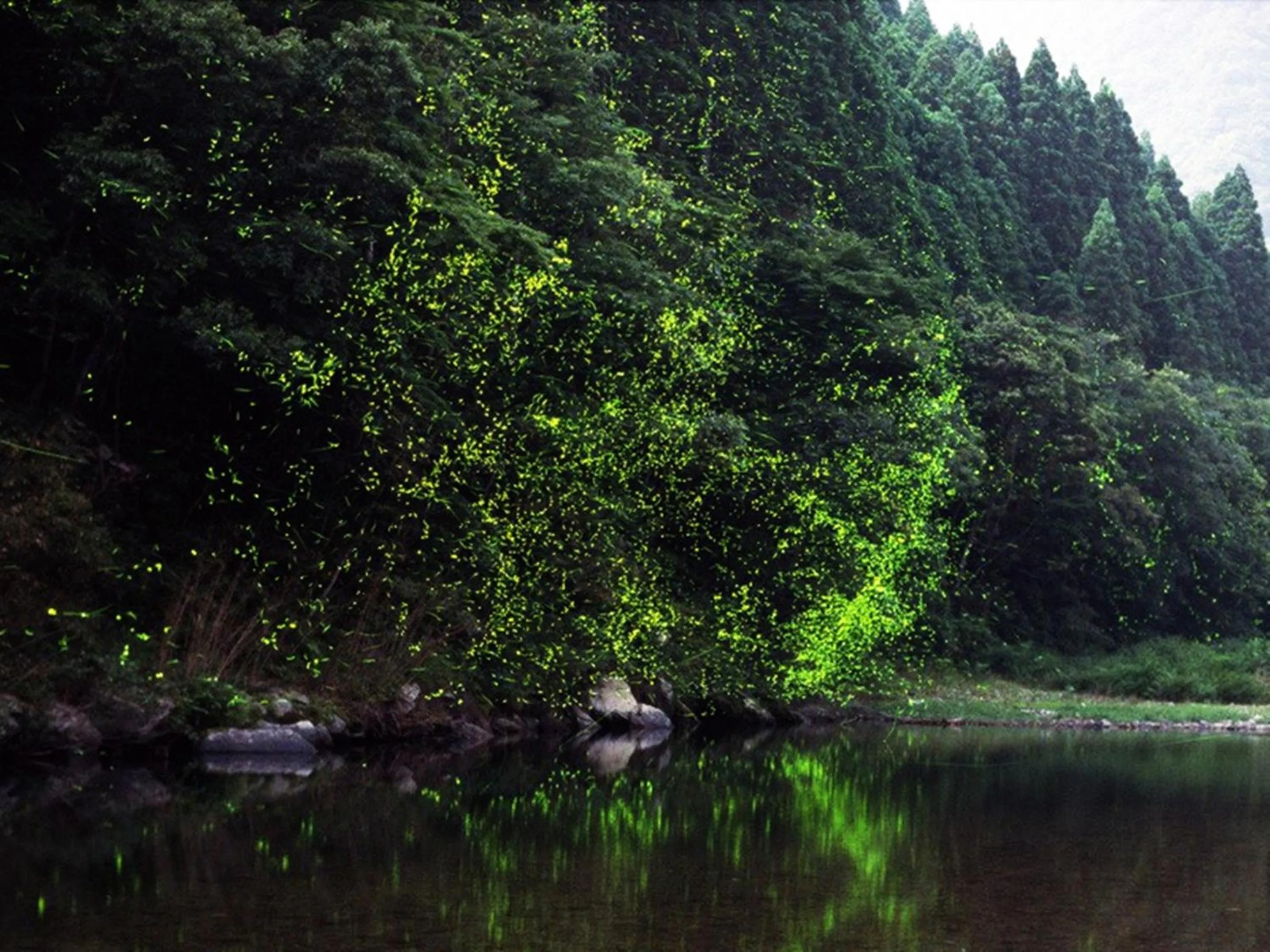 Off site in Nagomiya Hirugano