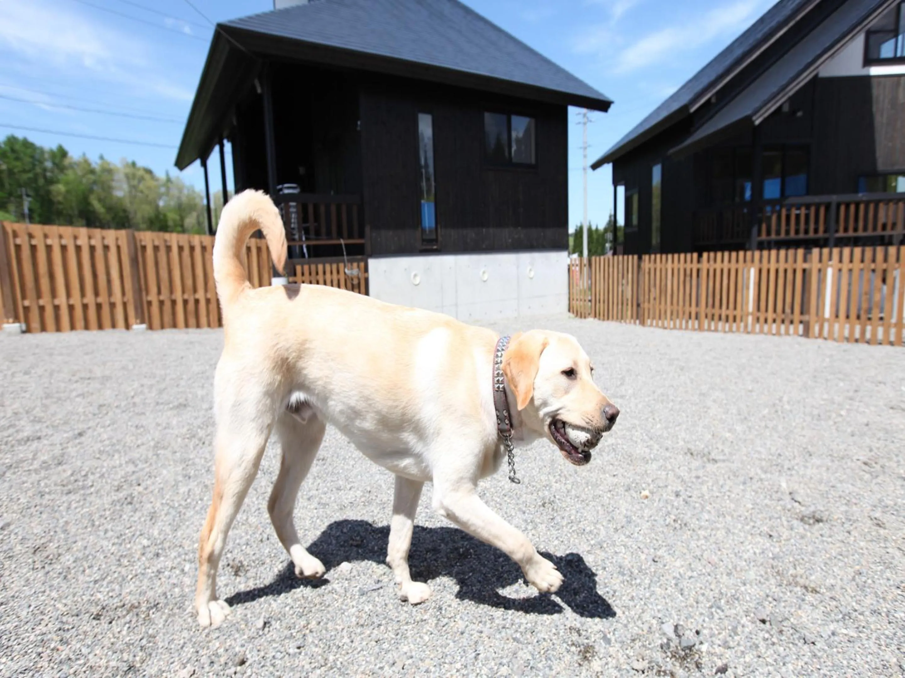 Day in Nagomiya Hirugano