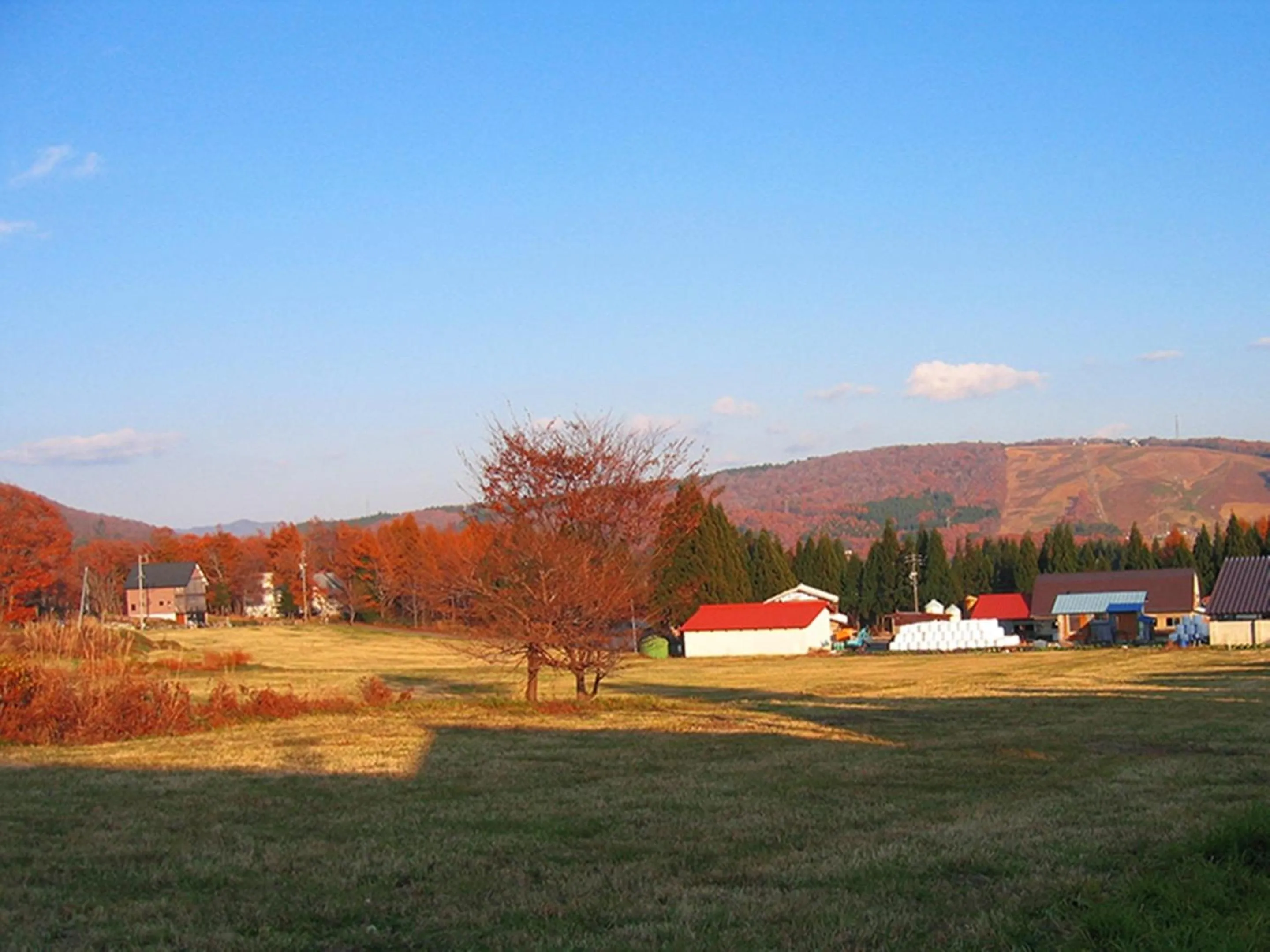 Off site in Nagomiya Hirugano
