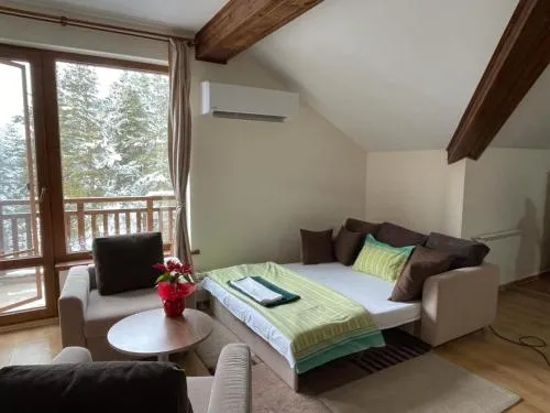 Cozy Mountain Apartment