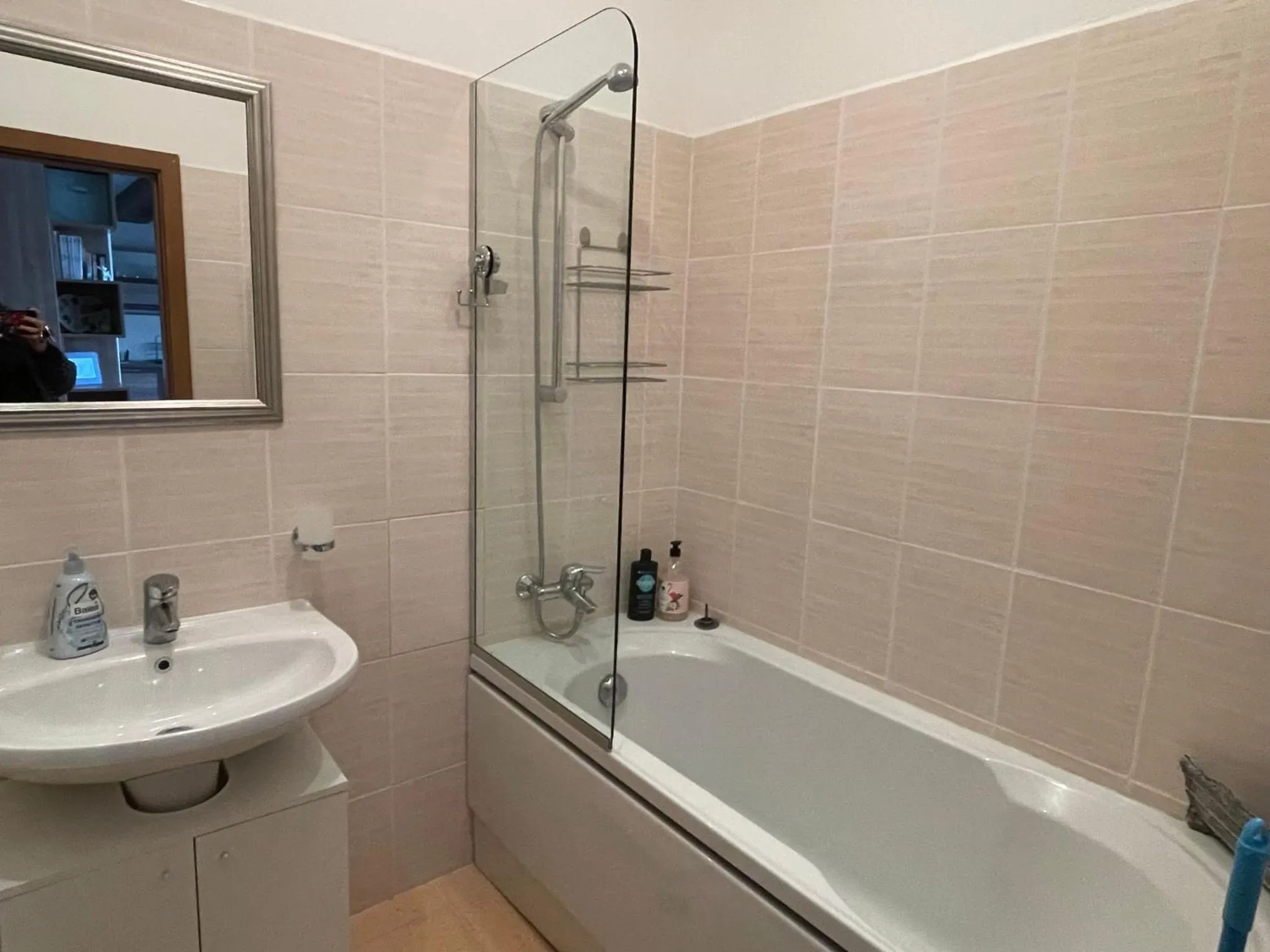 Shower in Cozy Mountain Apartment