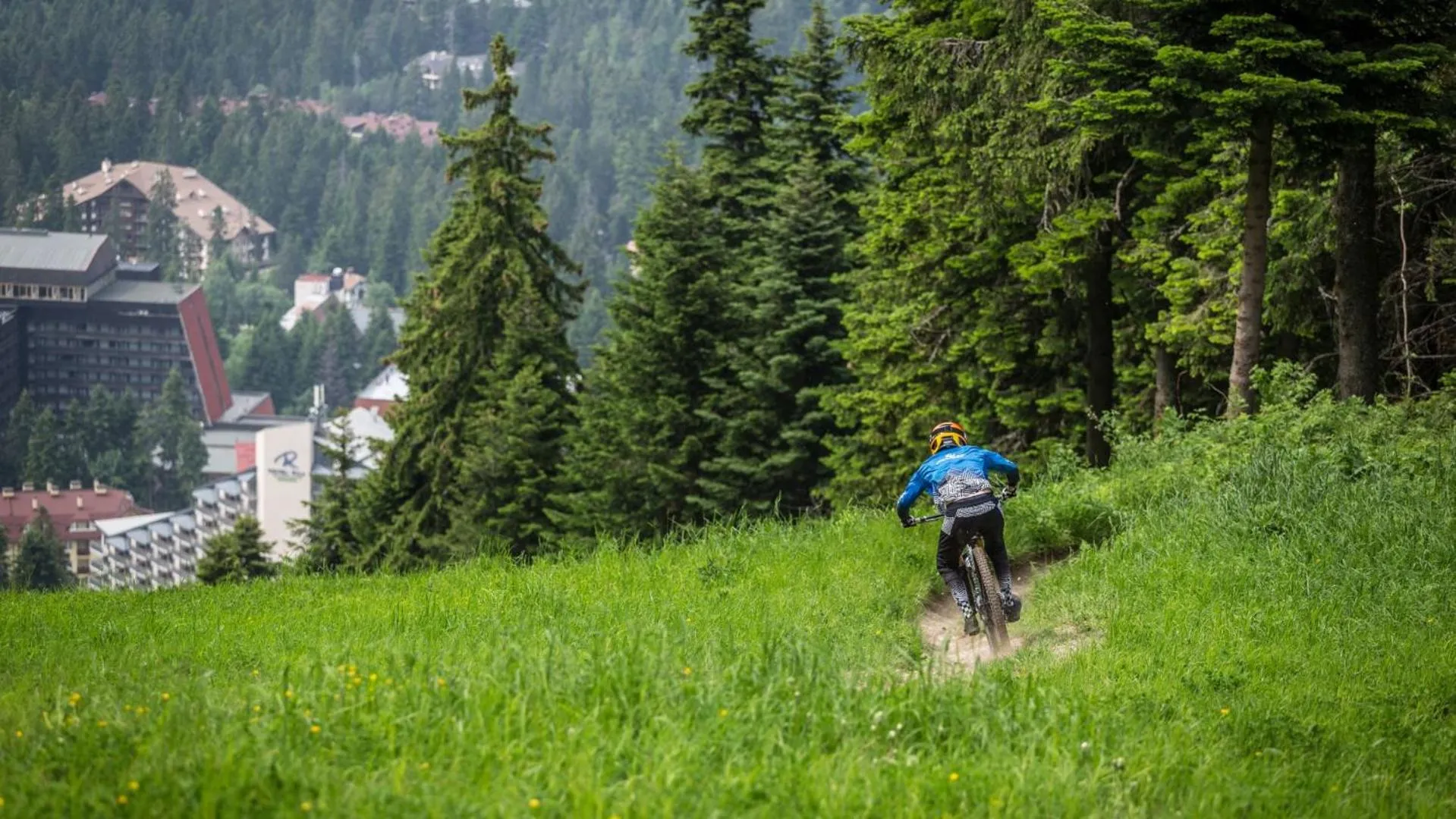Cycling in Cozy Mountain Apartment