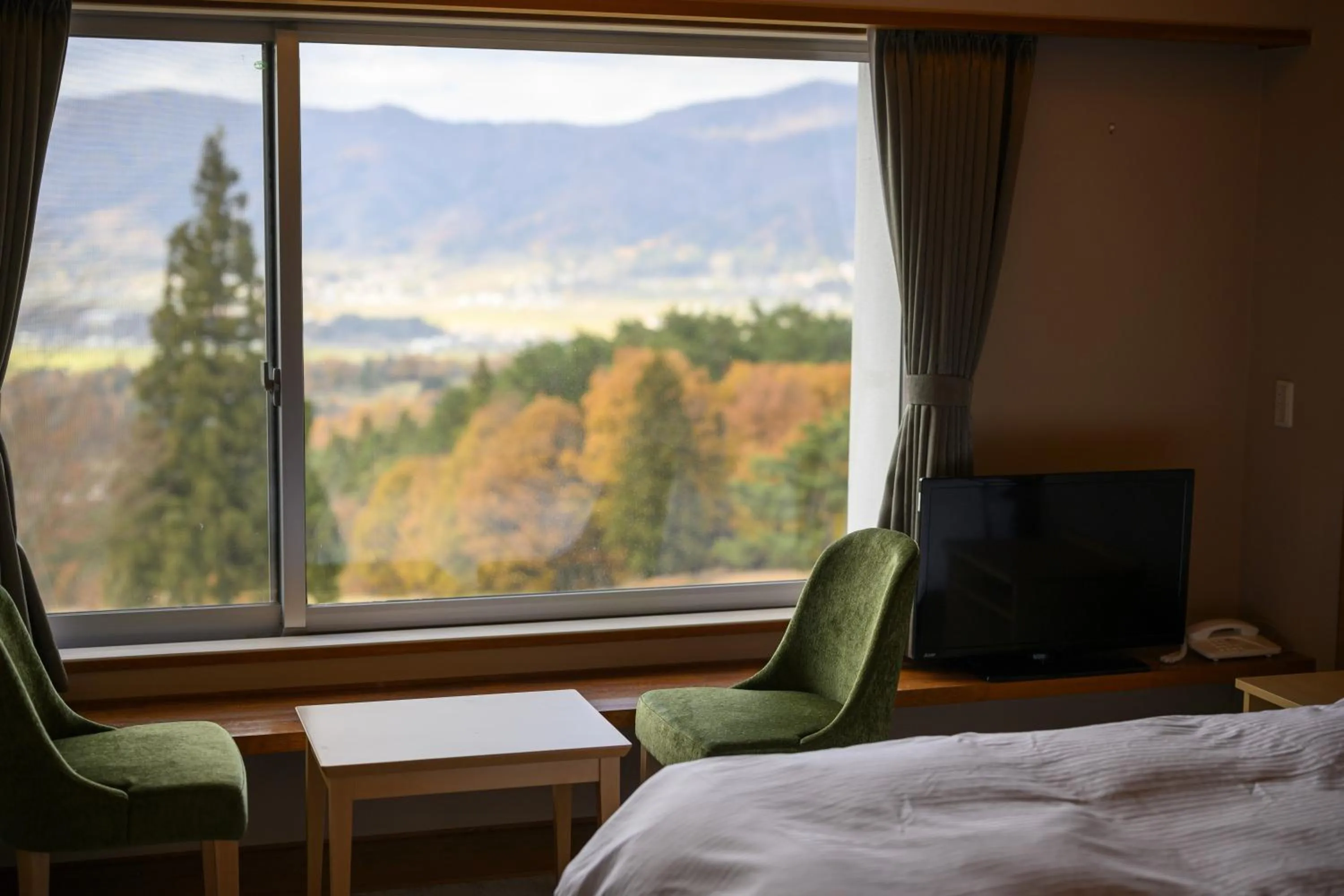 Mountain view in HOKURYUKO HOTEL North NAGANO