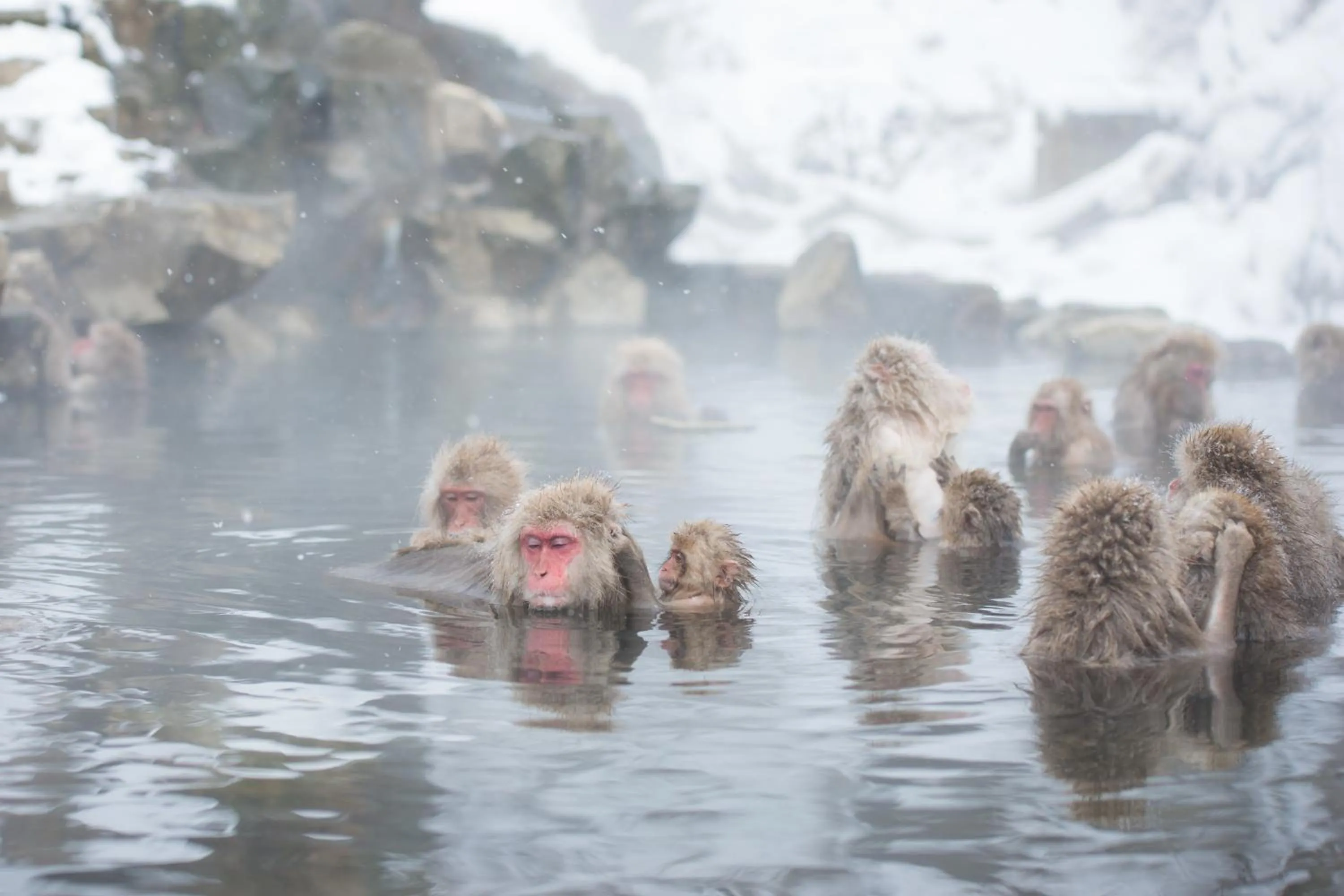 Nearby landmark in HOKURYUKO HOTEL North NAGANO